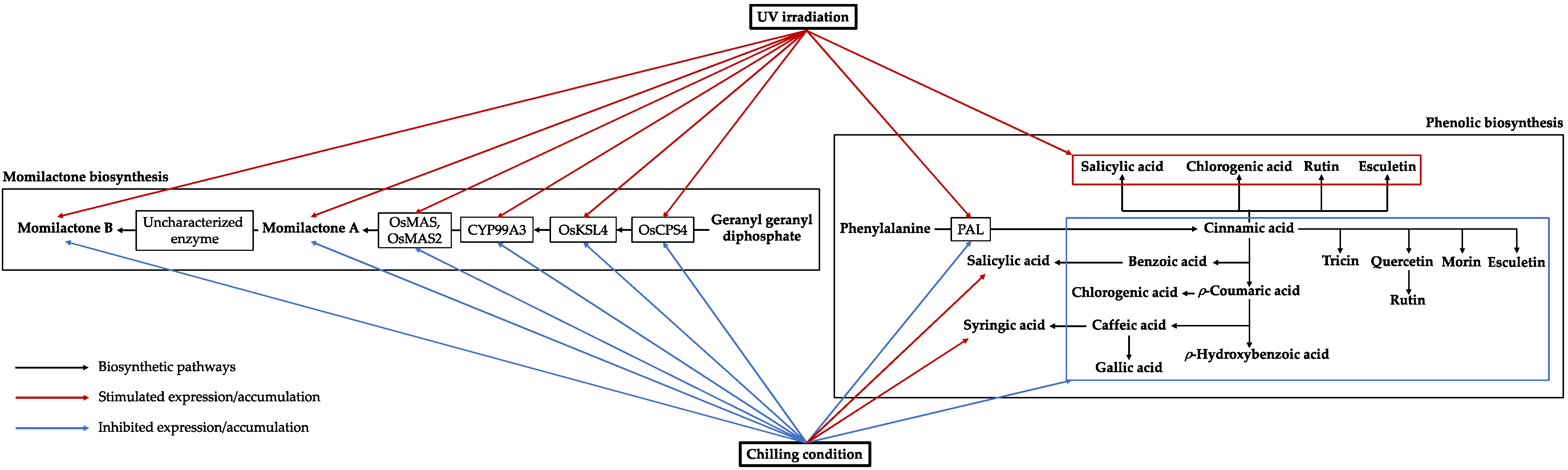 Agronomy 12 01731 g002