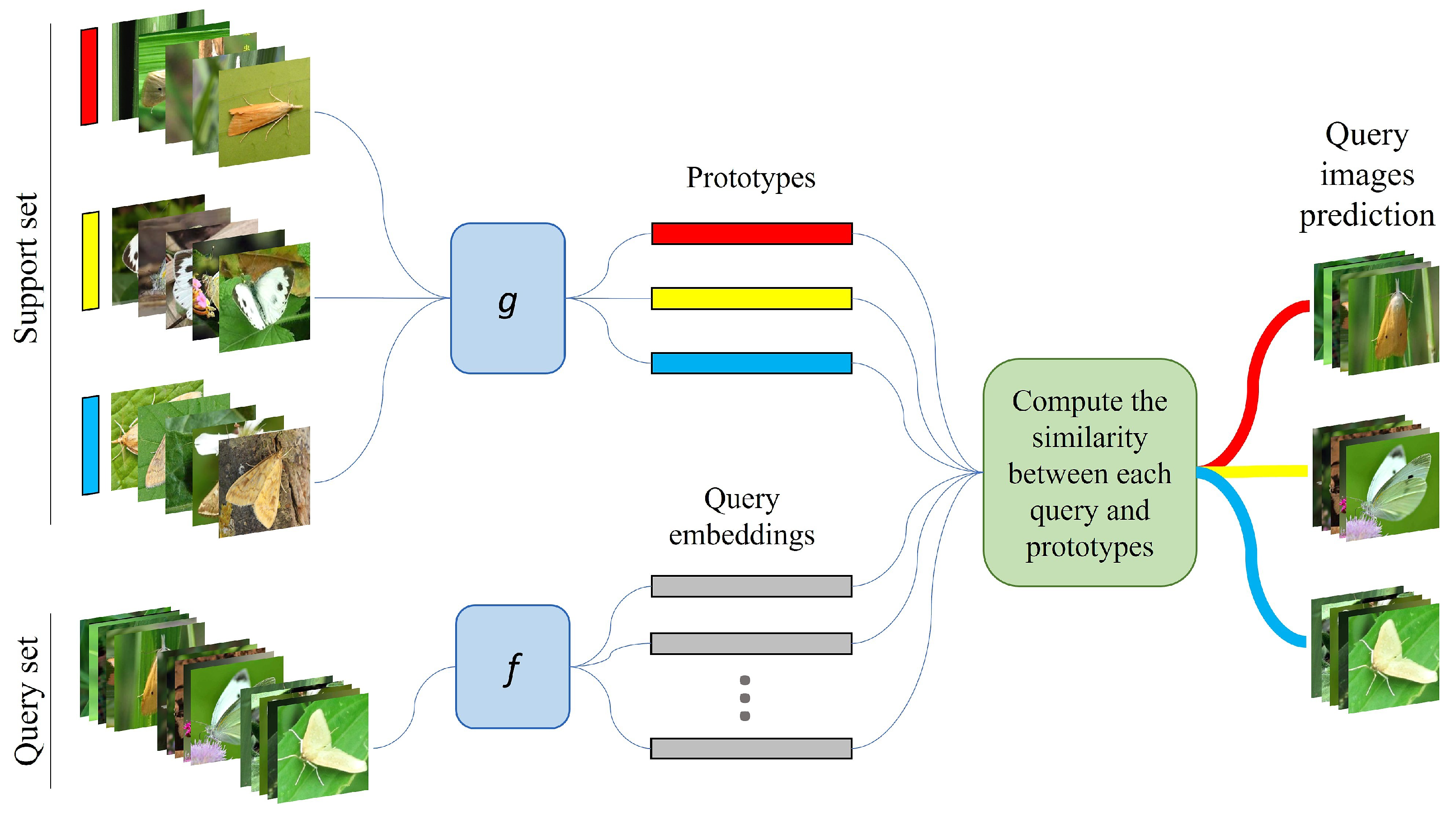 Agronomy 12 01733 g006