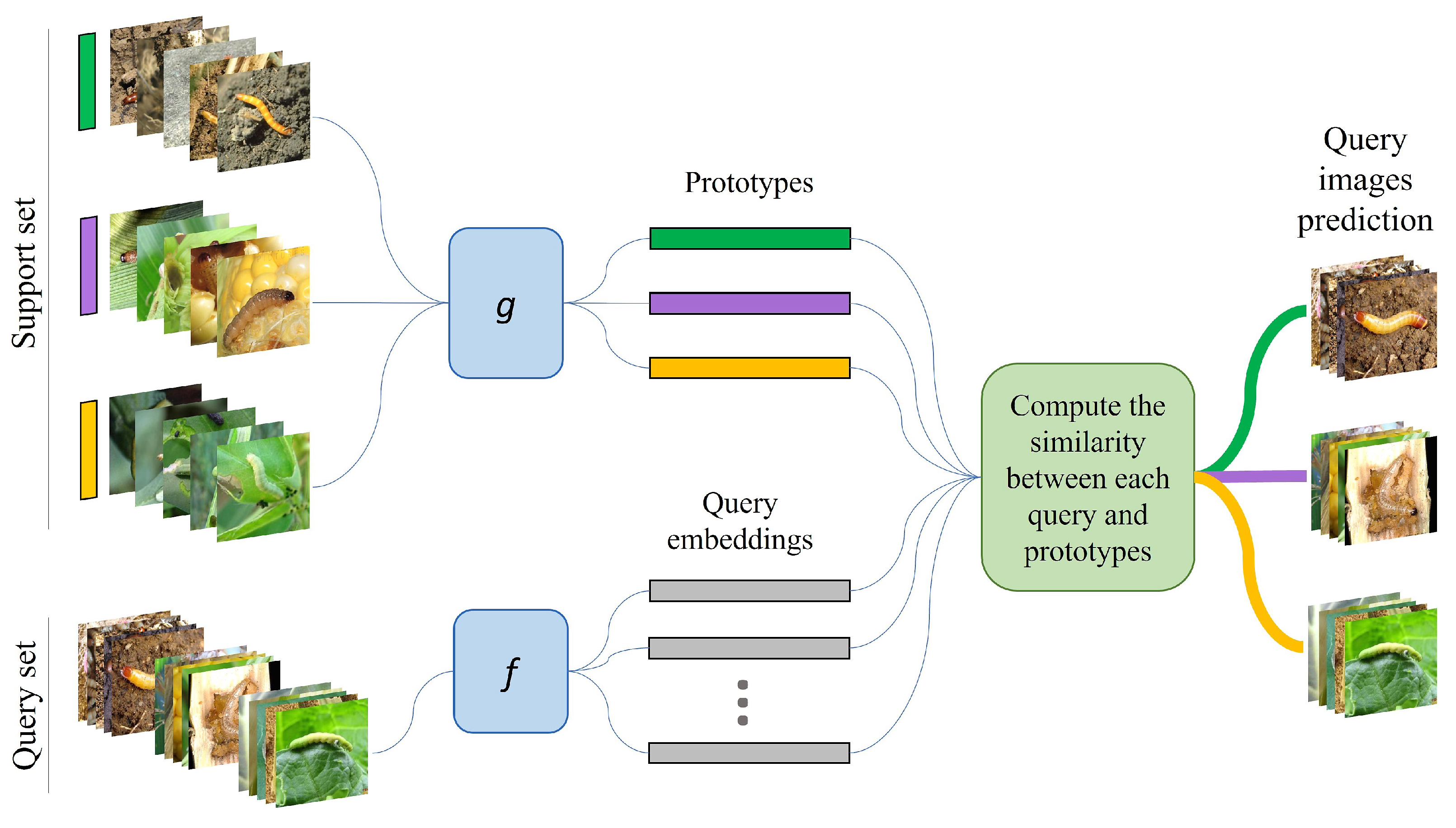 Agronomy 12 01733 g007