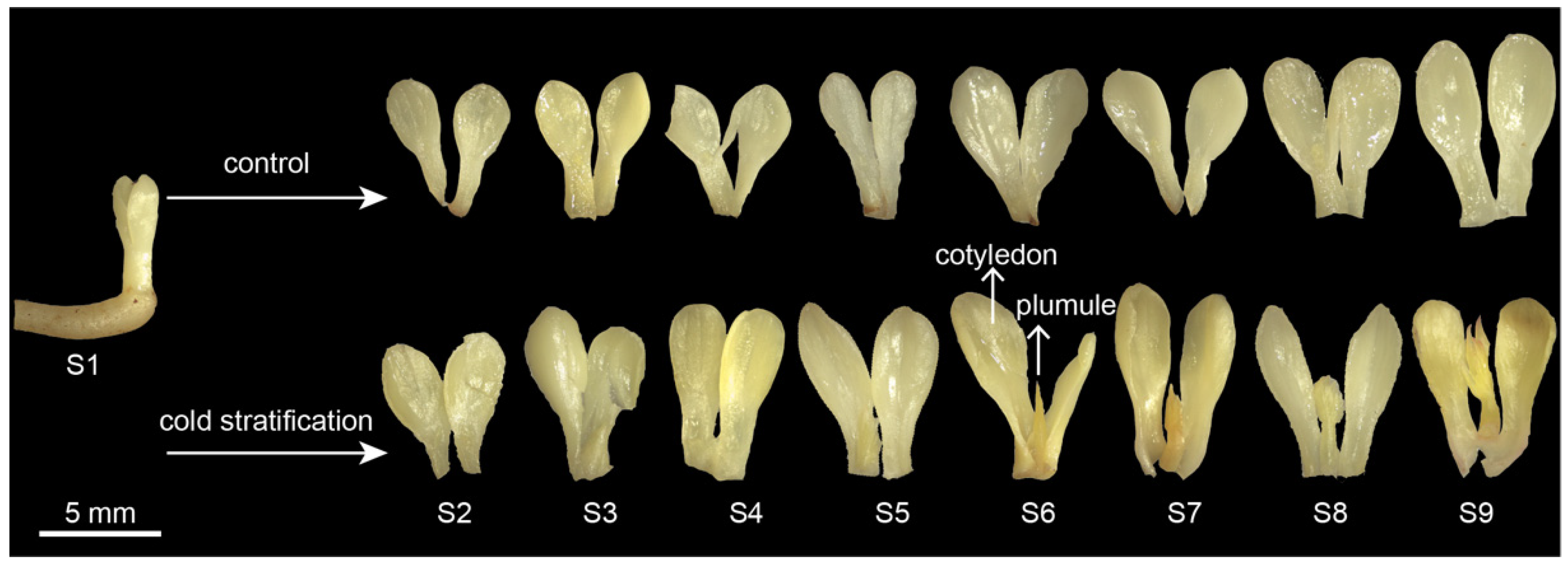 Agronomy 12 01745 g001 Agronomy 12 01745 g001