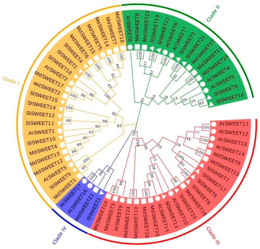 Agronomy 12 01747 g002
