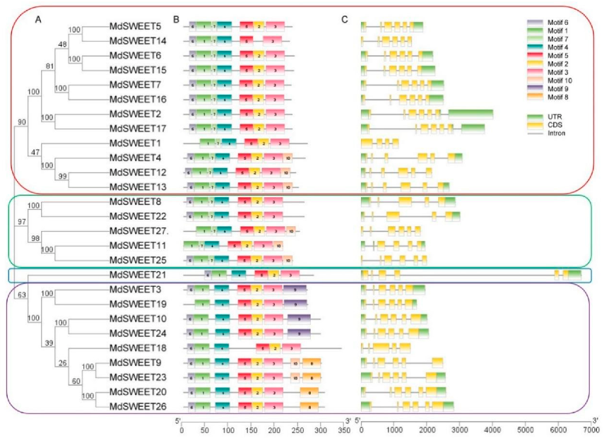 Agronomy 12 01747 g004
