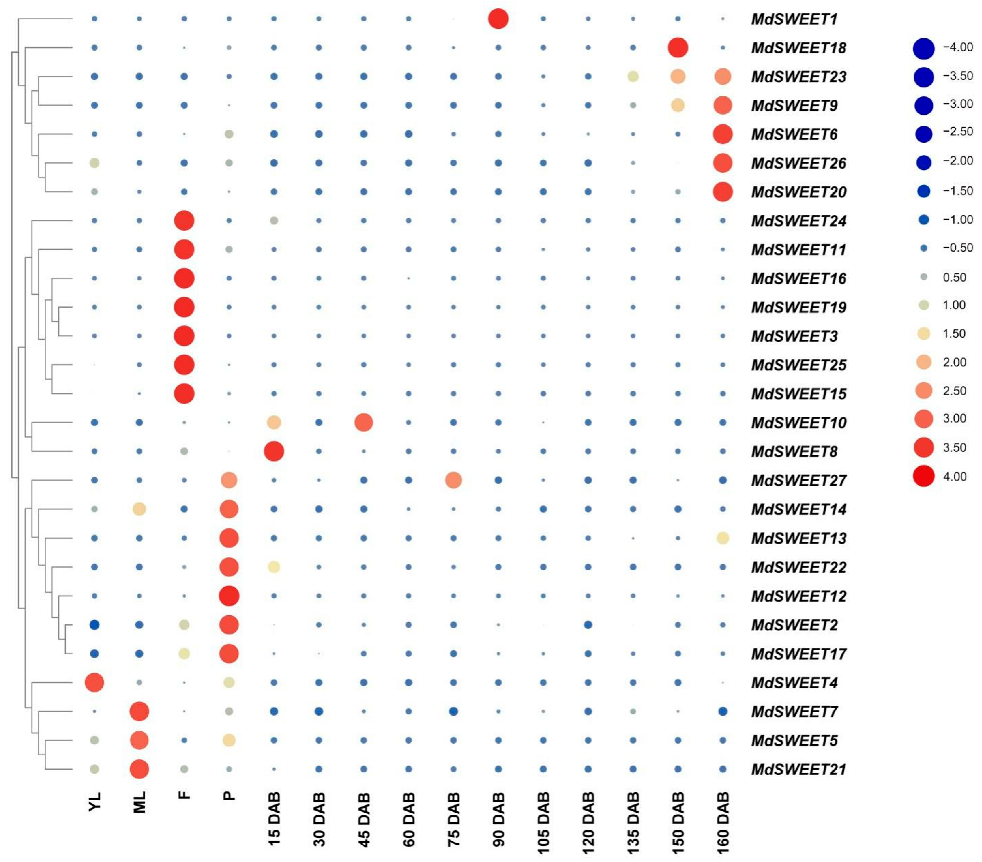 Agronomy 12 01747 g007