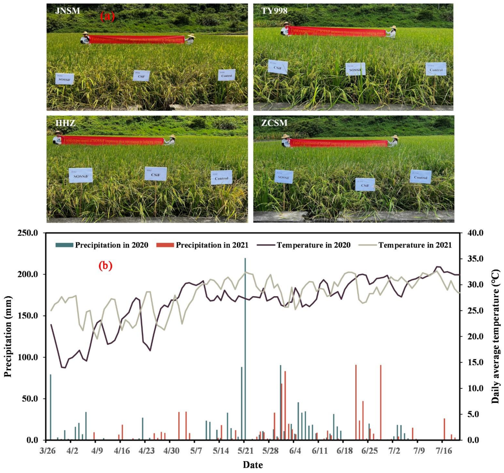 Agronomy 12 01750 g001 550