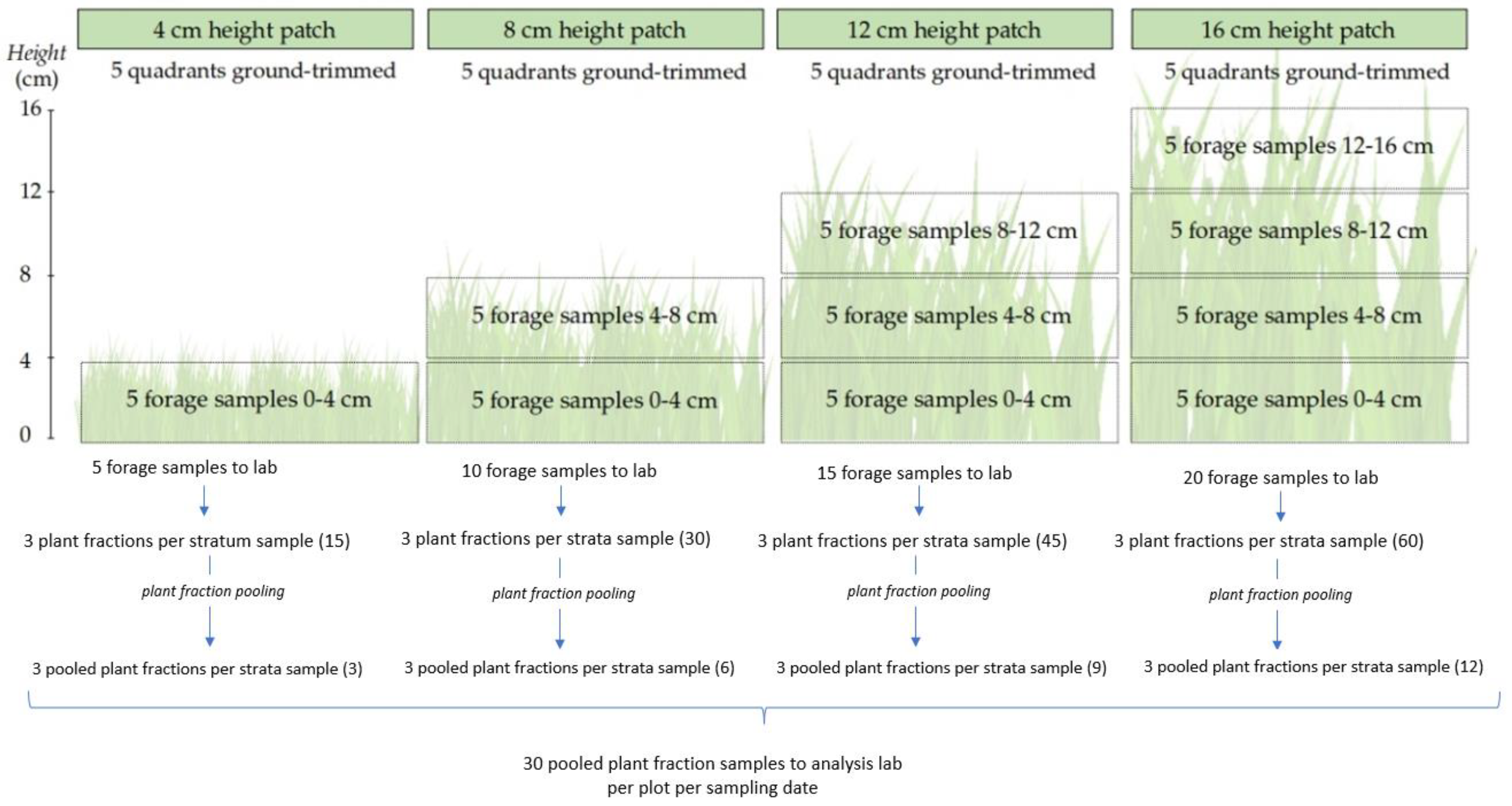 Agronomy 12 01756 g001 Agronomy 12 01756 g001