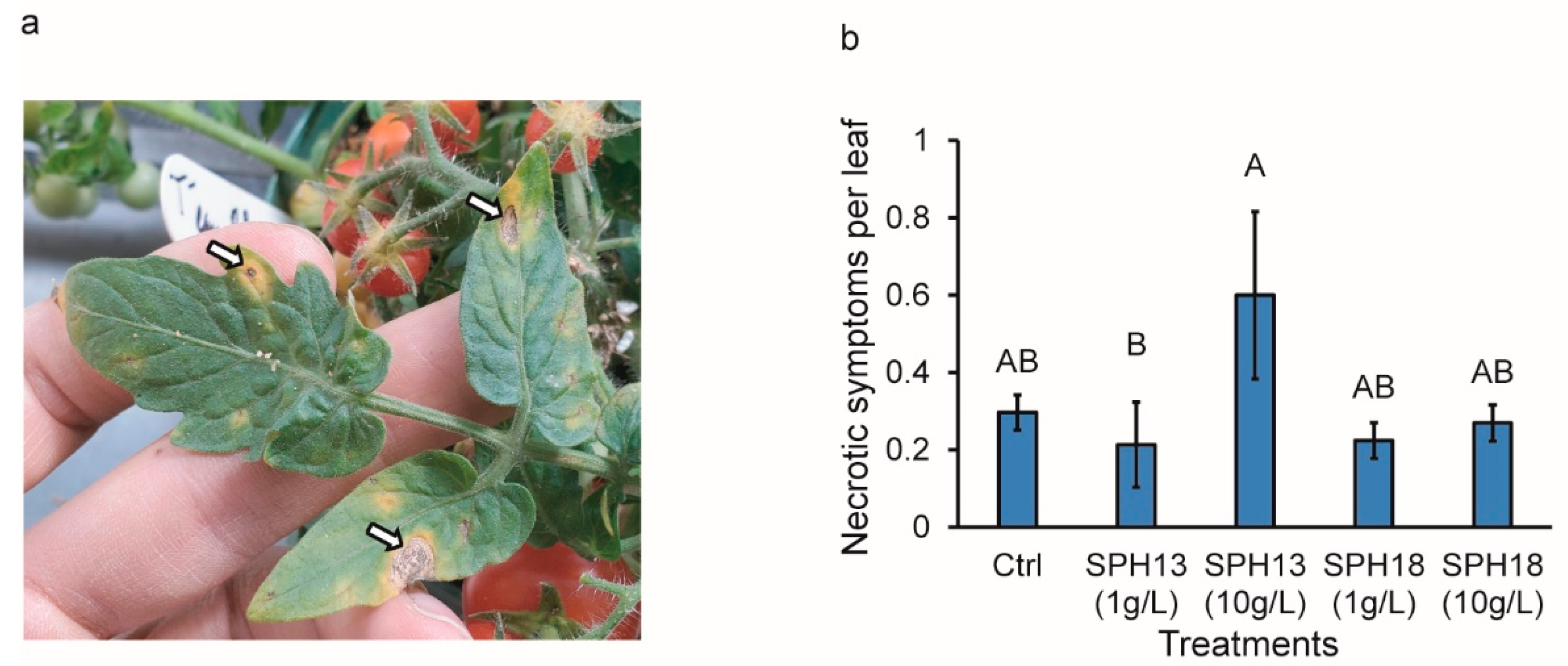 Agronomy 12 01761 g004 550