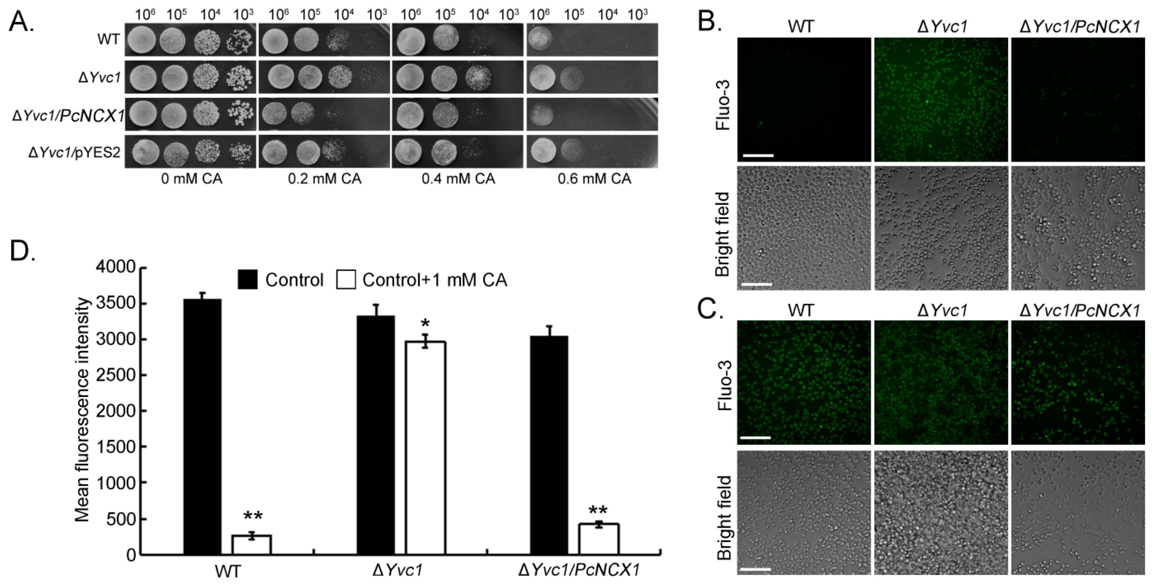 Agronomy 12 01763 g003 550