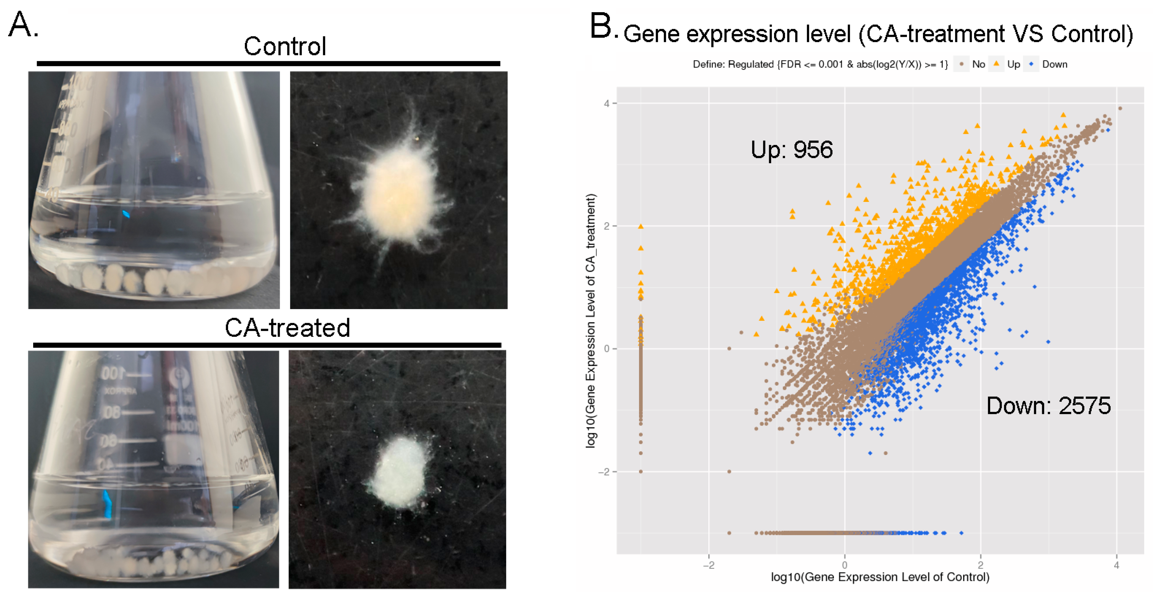 Agronomy 12 01763 g004 550