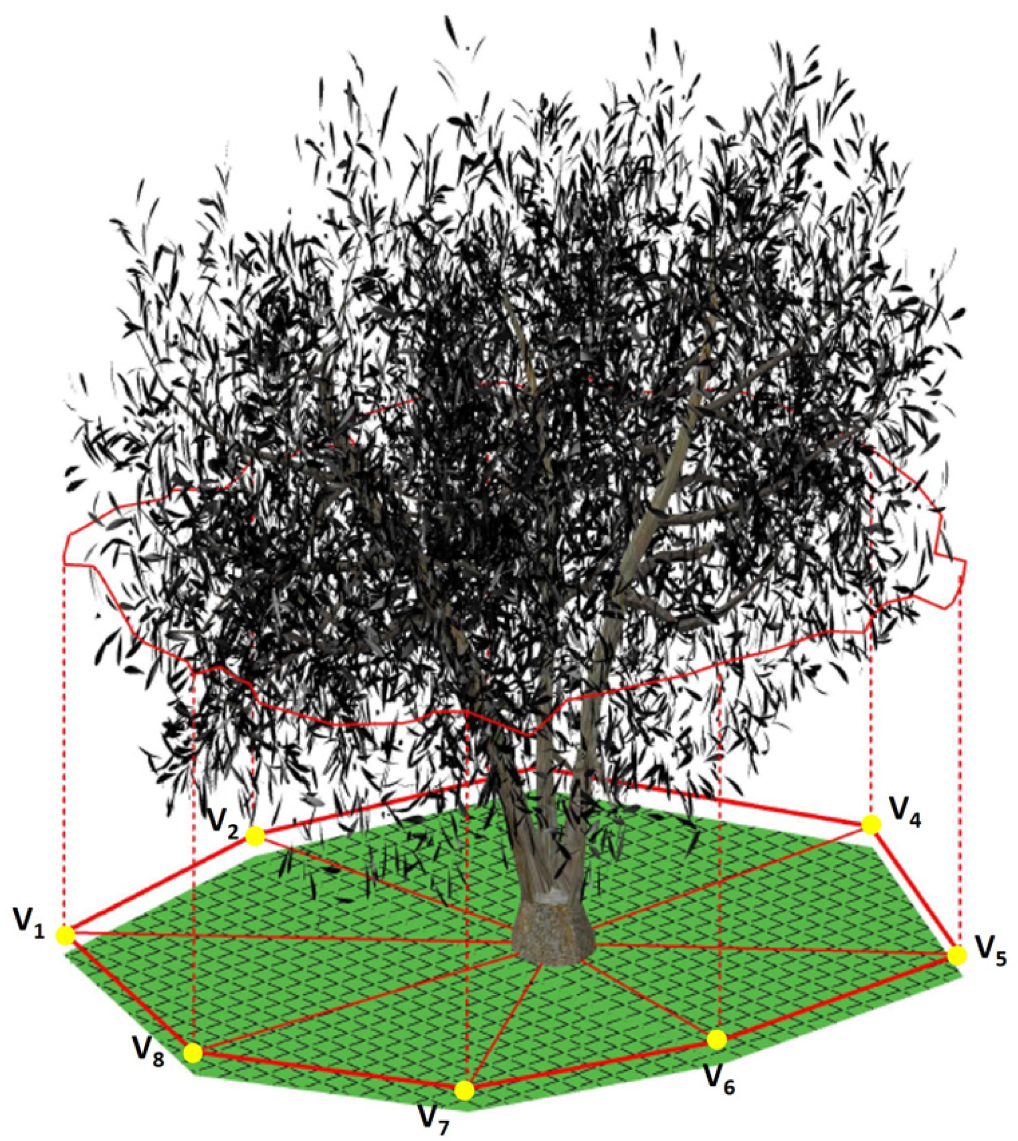 Agronomy 12 01764 g002