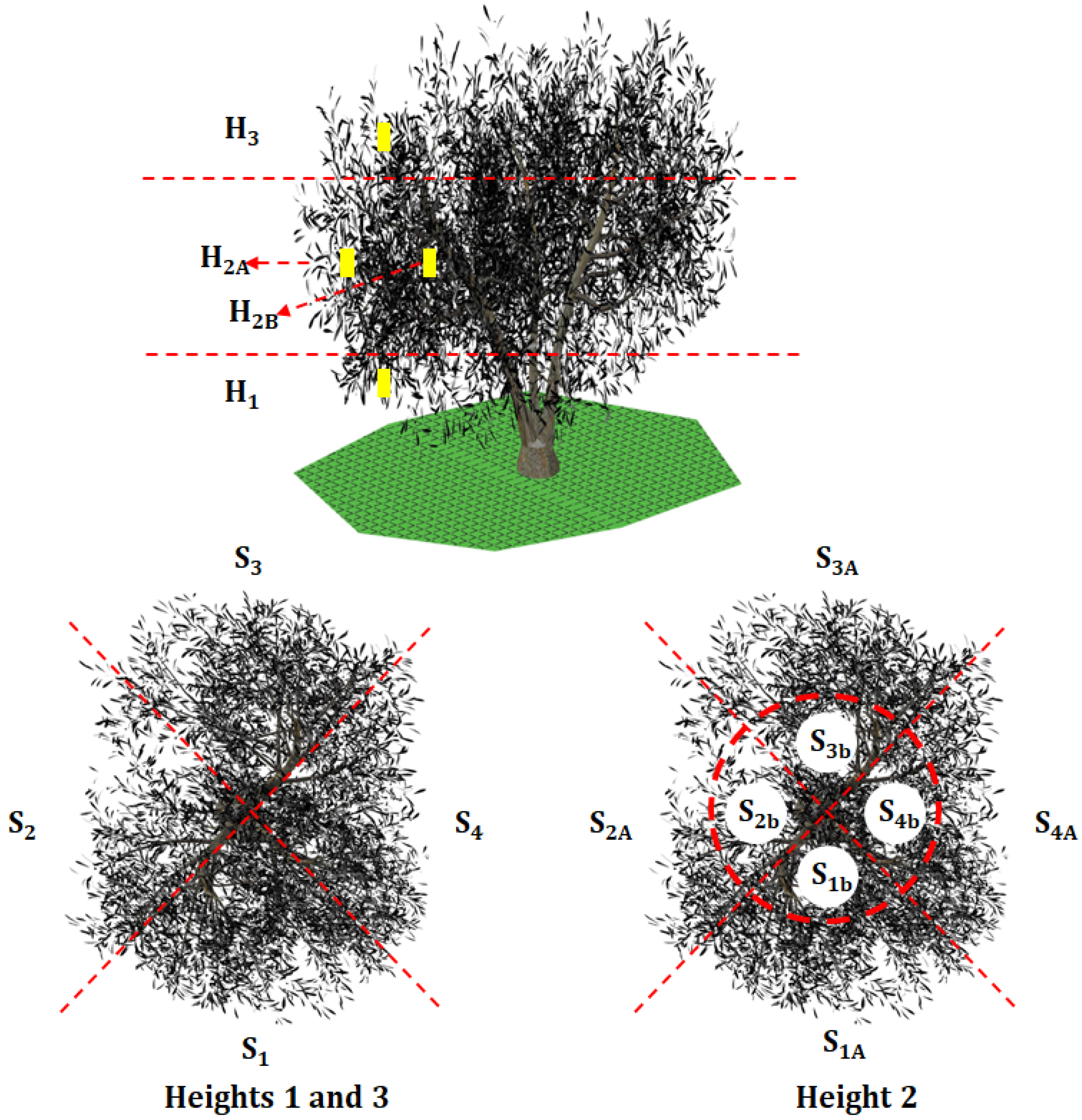 Agronomy 12 01764 g004