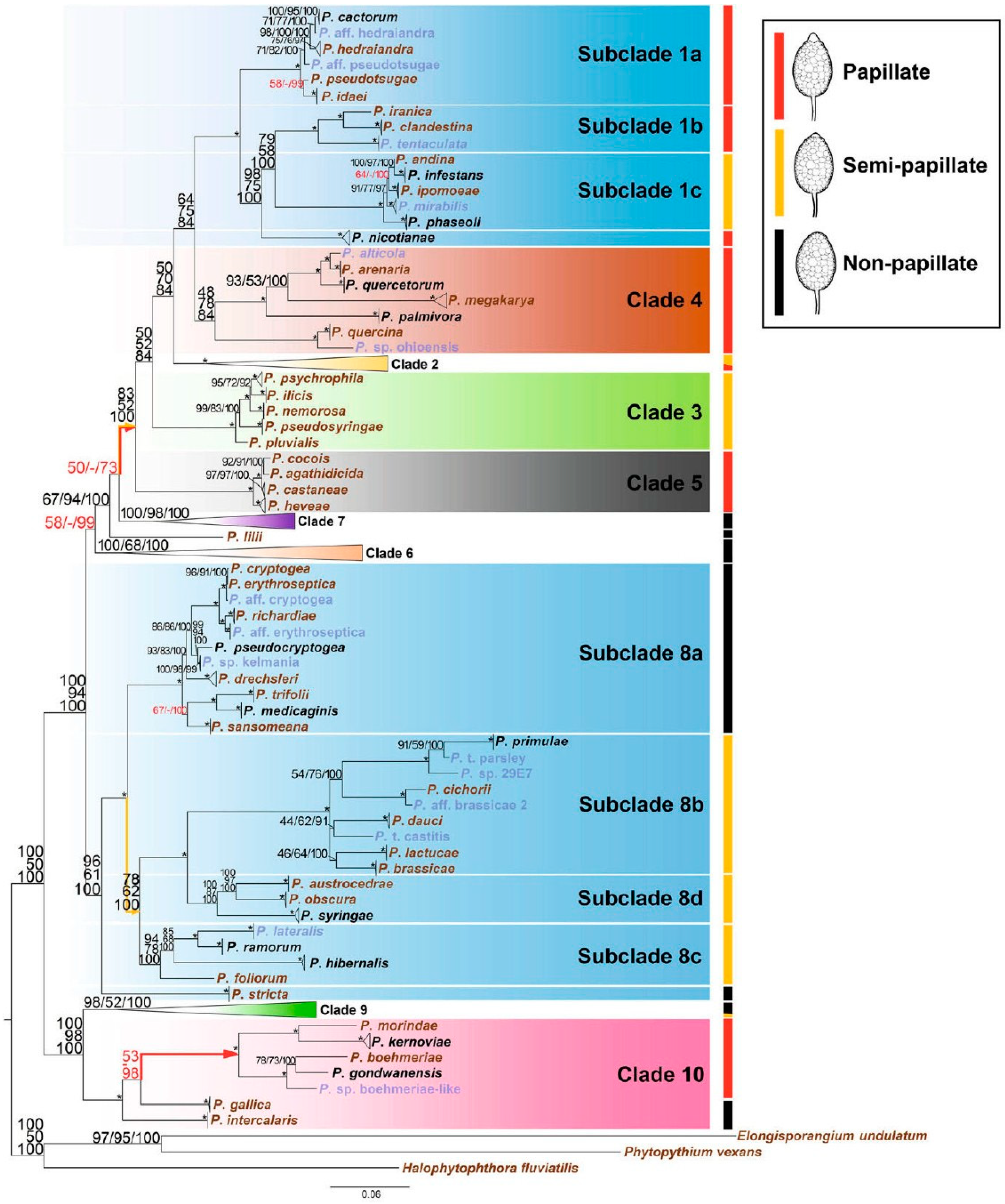 Agronomy 12 01769 g001