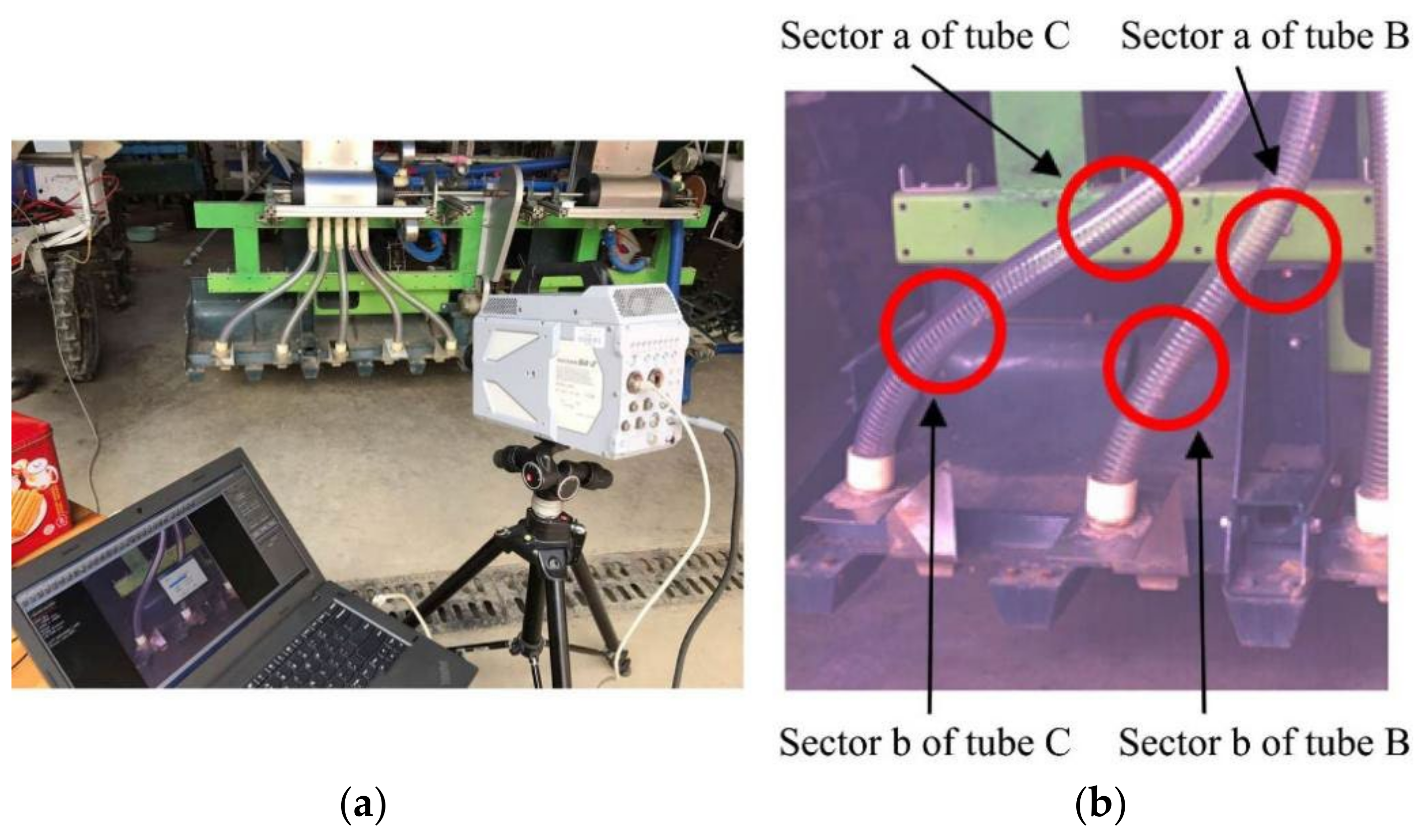 Agronomy 12 01775 g016 550