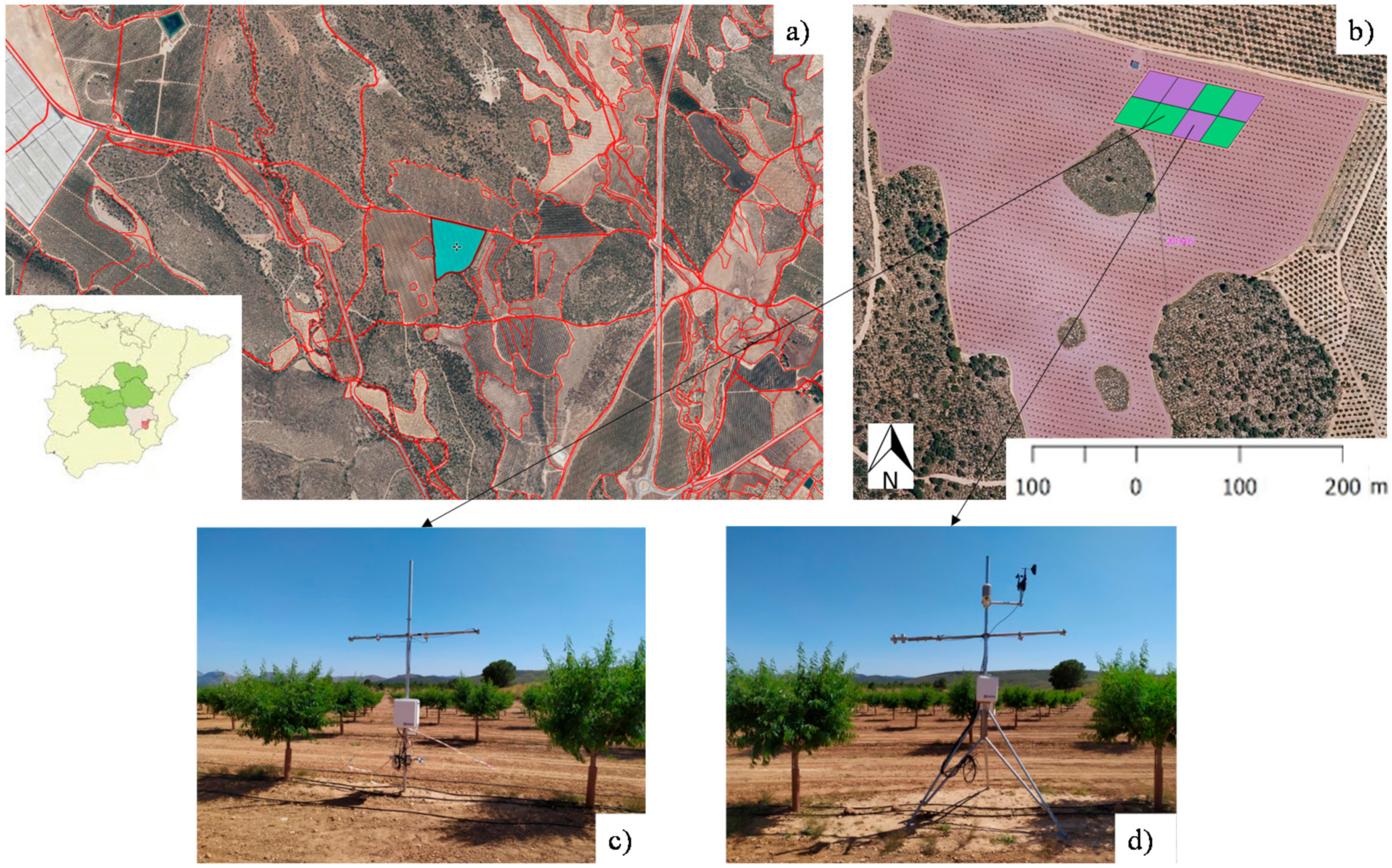 Agronomy 12 01778 g001