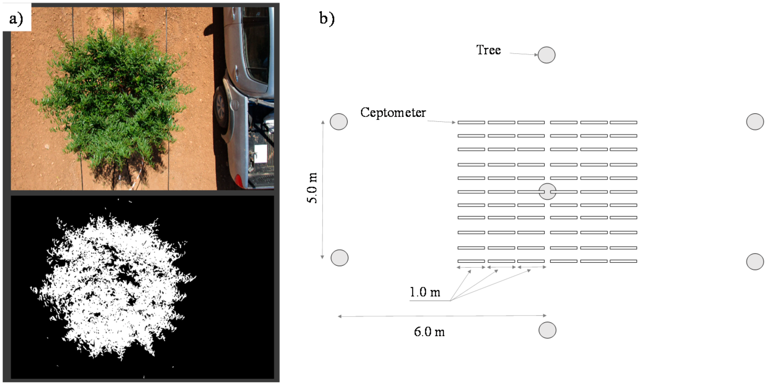 Agronomy 12 01778 g002