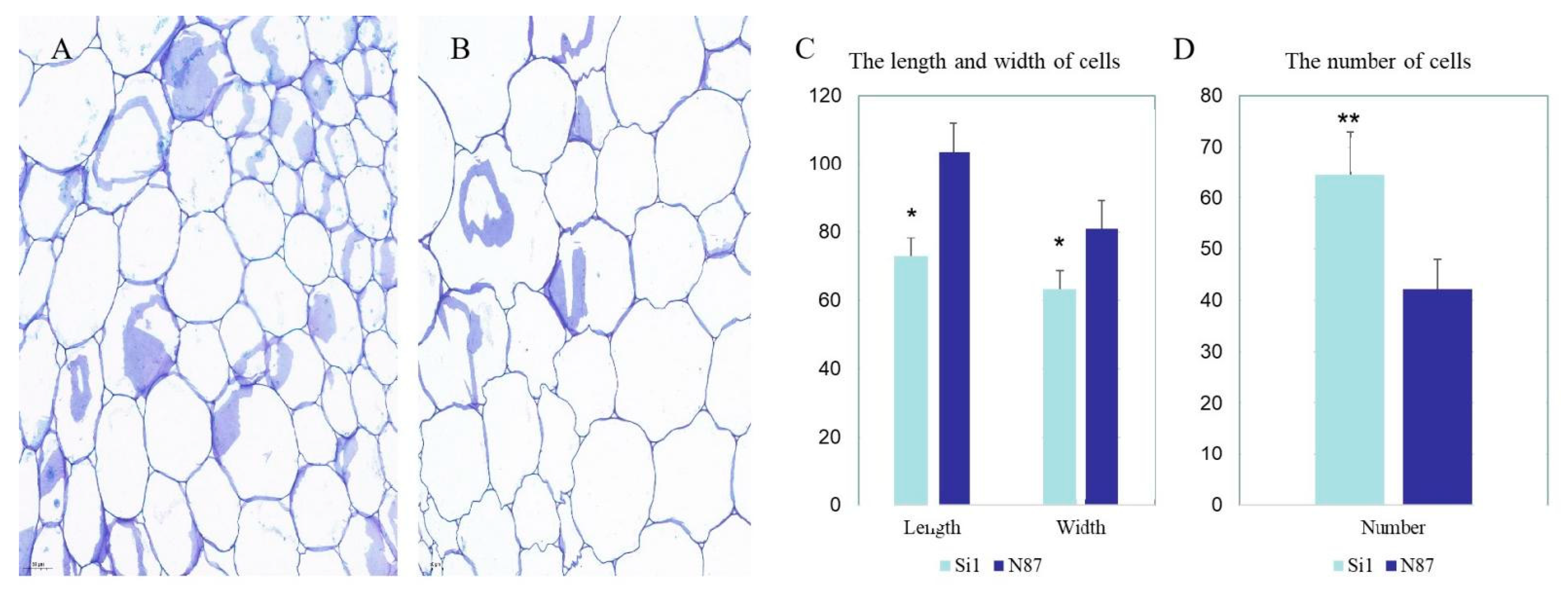Agronomy 12 01779 g002 550