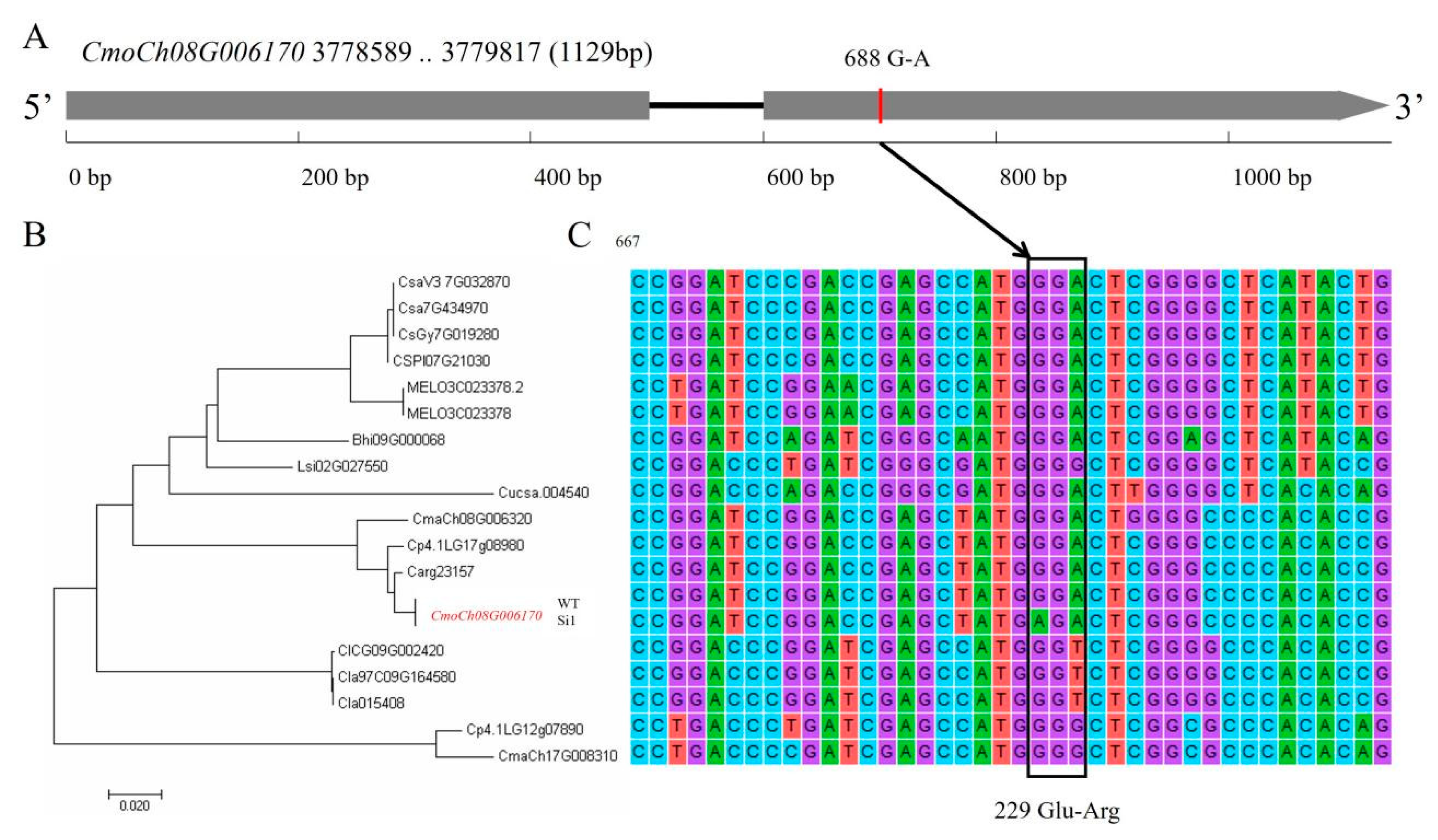 Agronomy 12 01779 g004 550