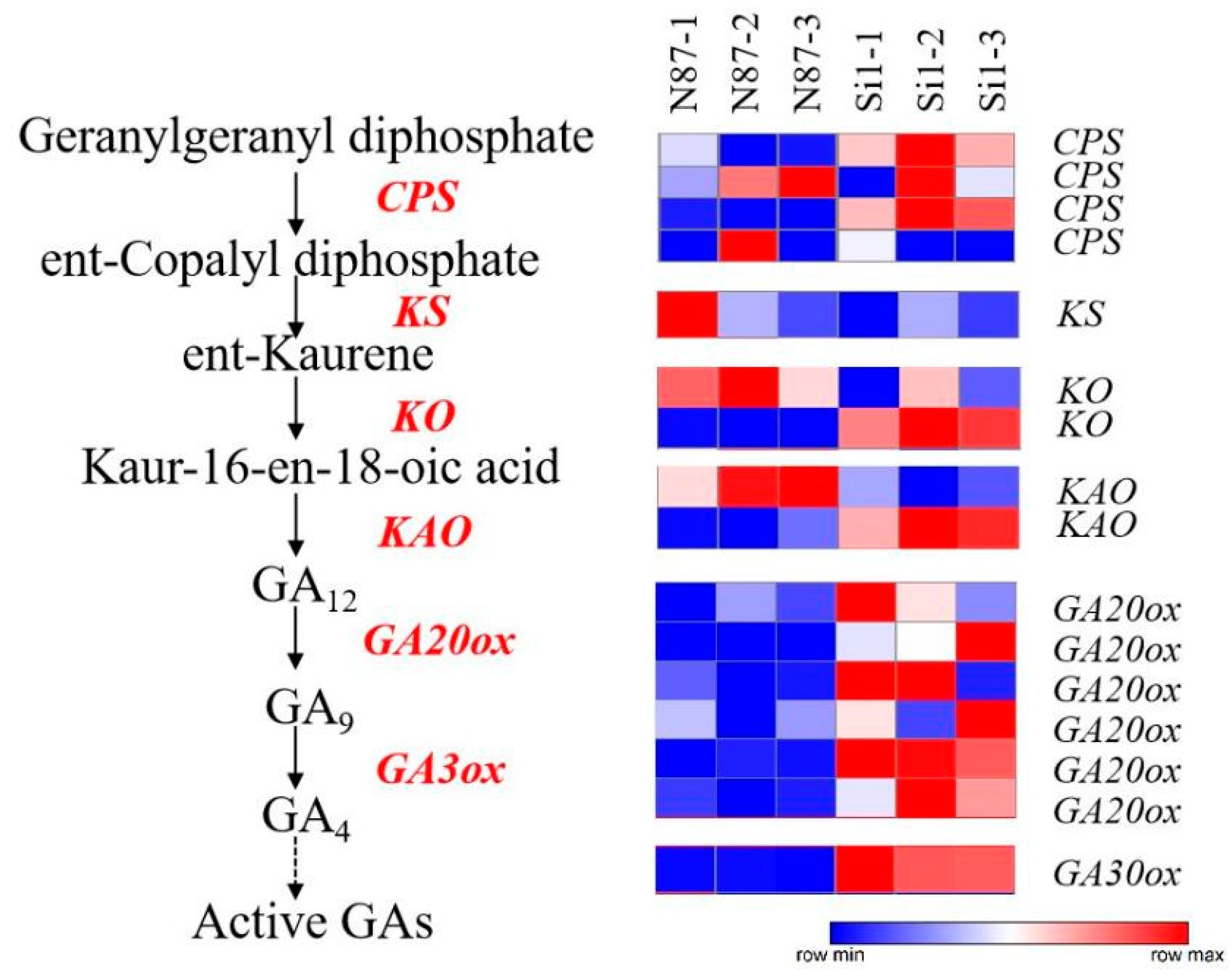 Agronomy 12 01779 g005 550