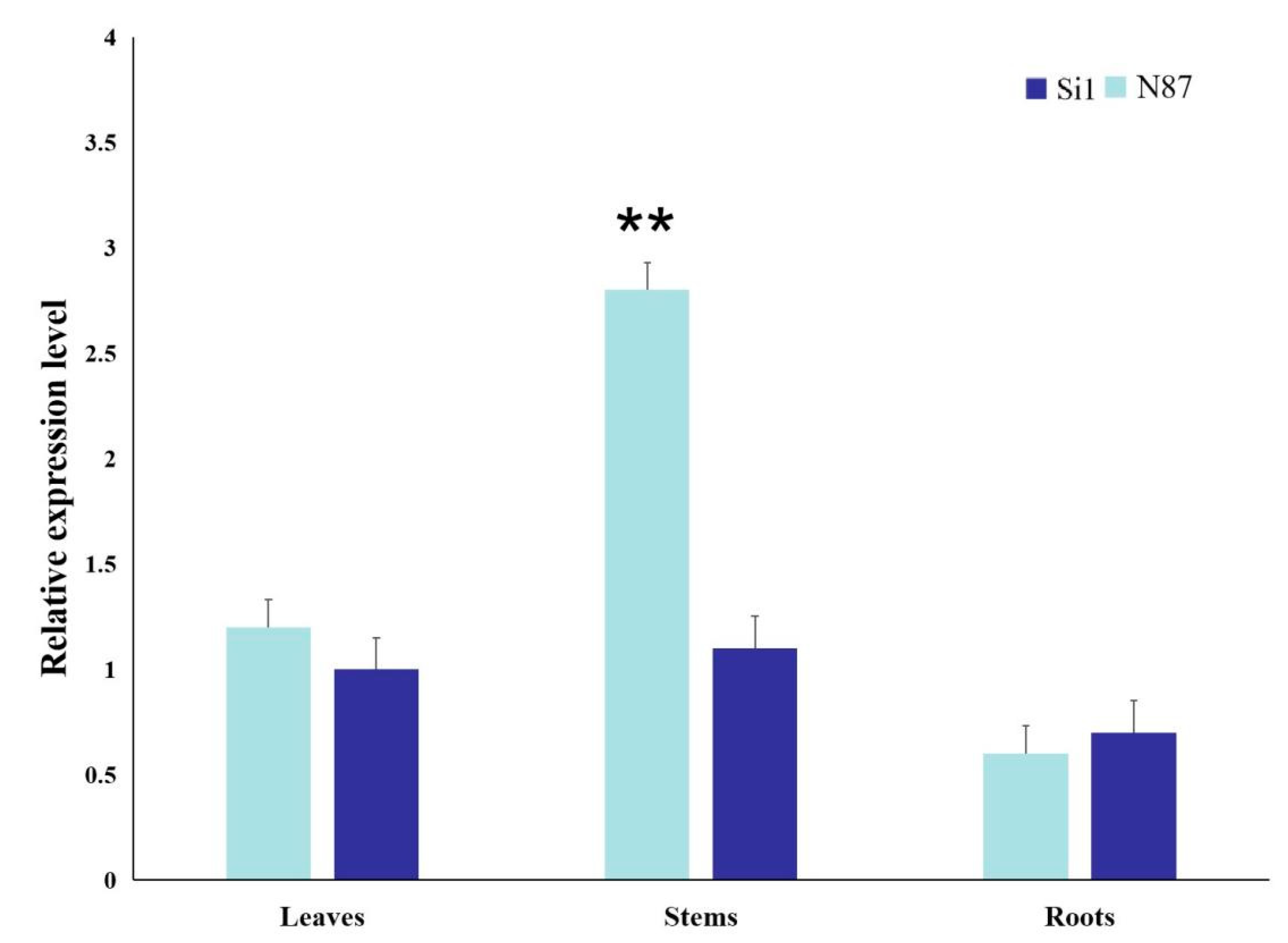 Agronomy 12 01779 g006 550