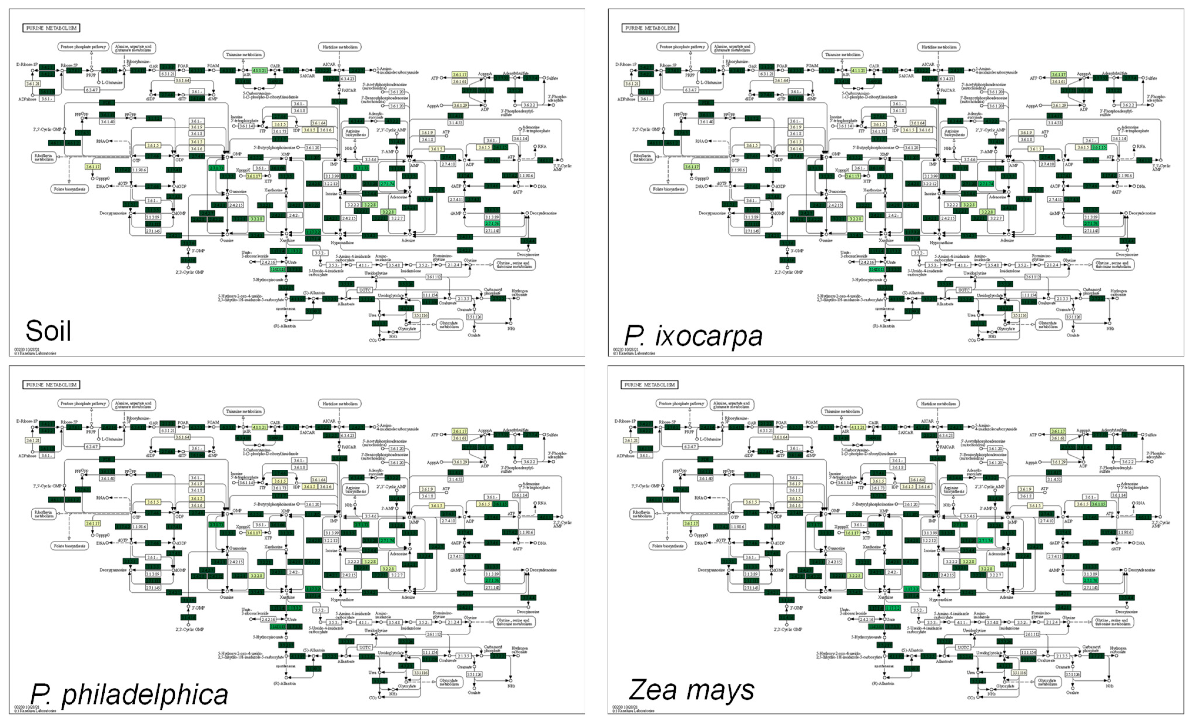 Agronomy 12 01780 g007