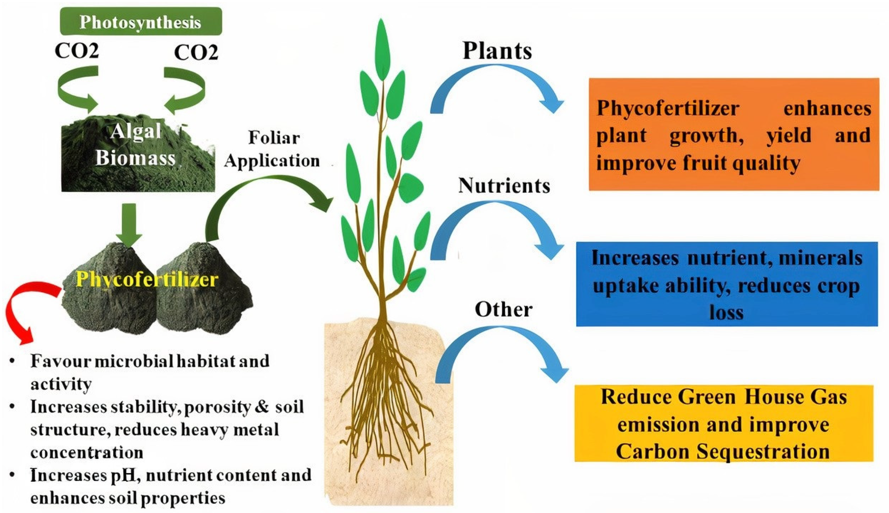 Agronomy 12 01788 g001 Agronomy 12 01788 g001