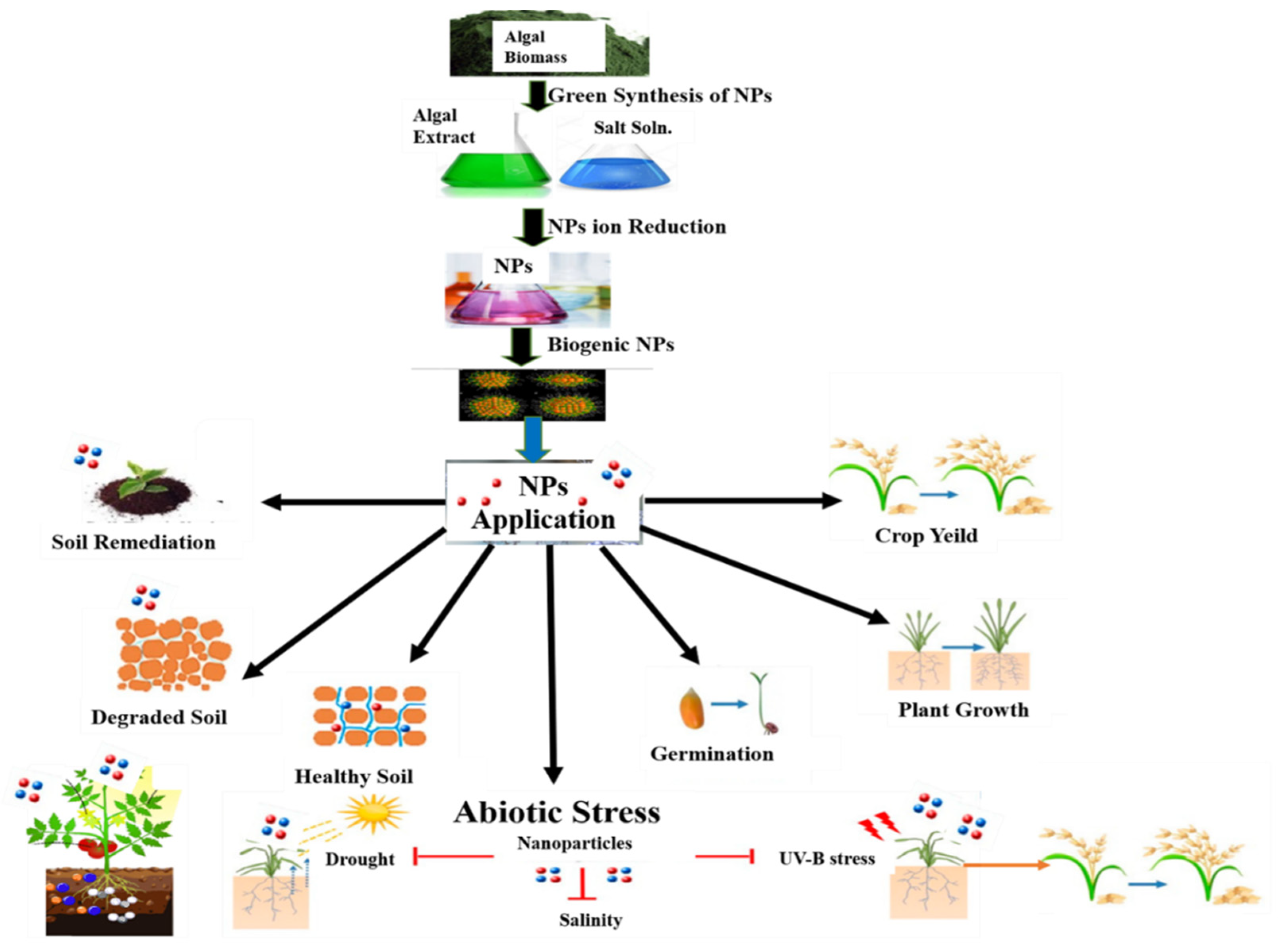 Agronomy 12 01788 g004 Agronomy 12 01788 g004