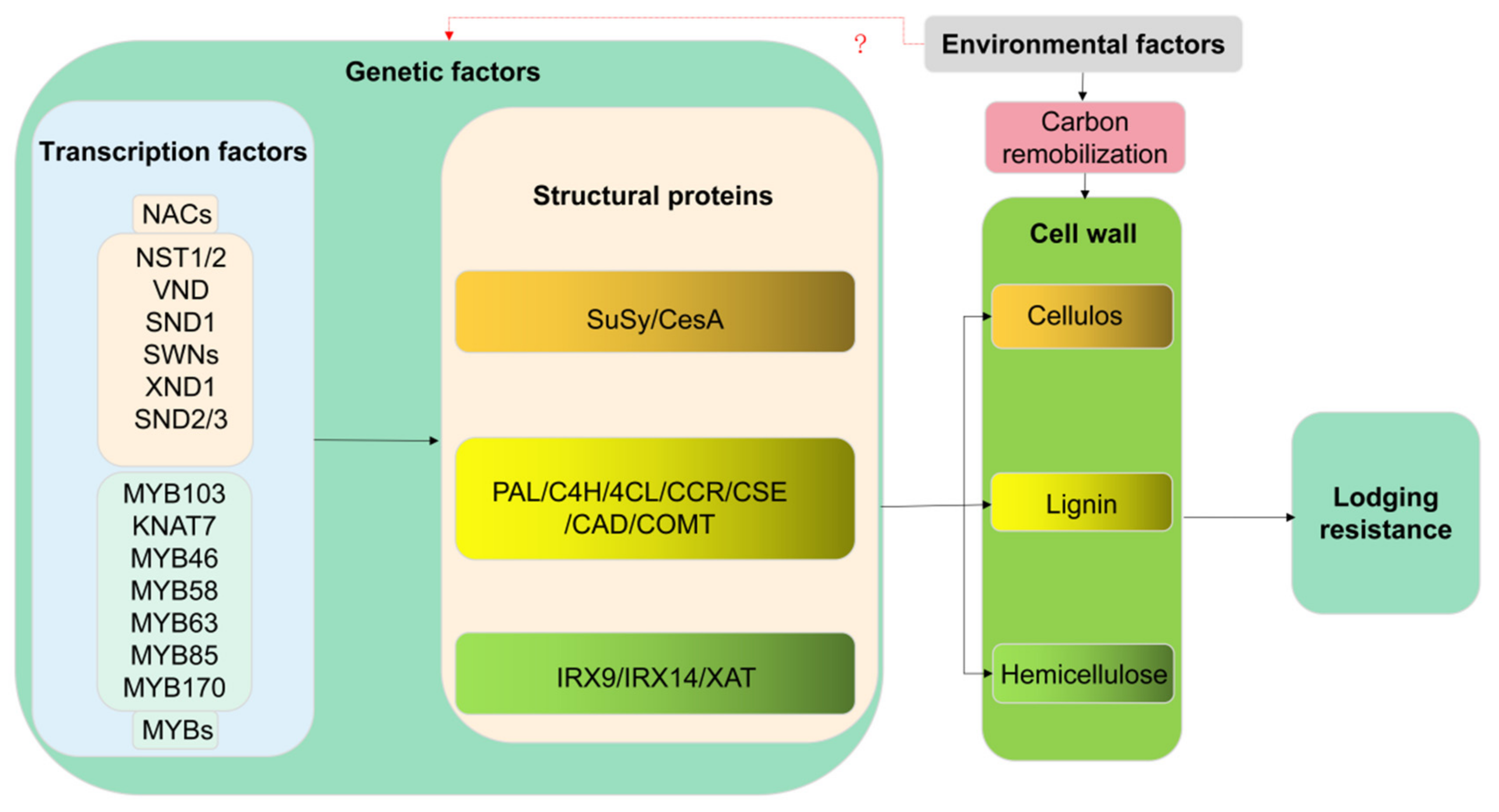 Agronomy 12 01795 g003 Agronomy 12 01795 g003