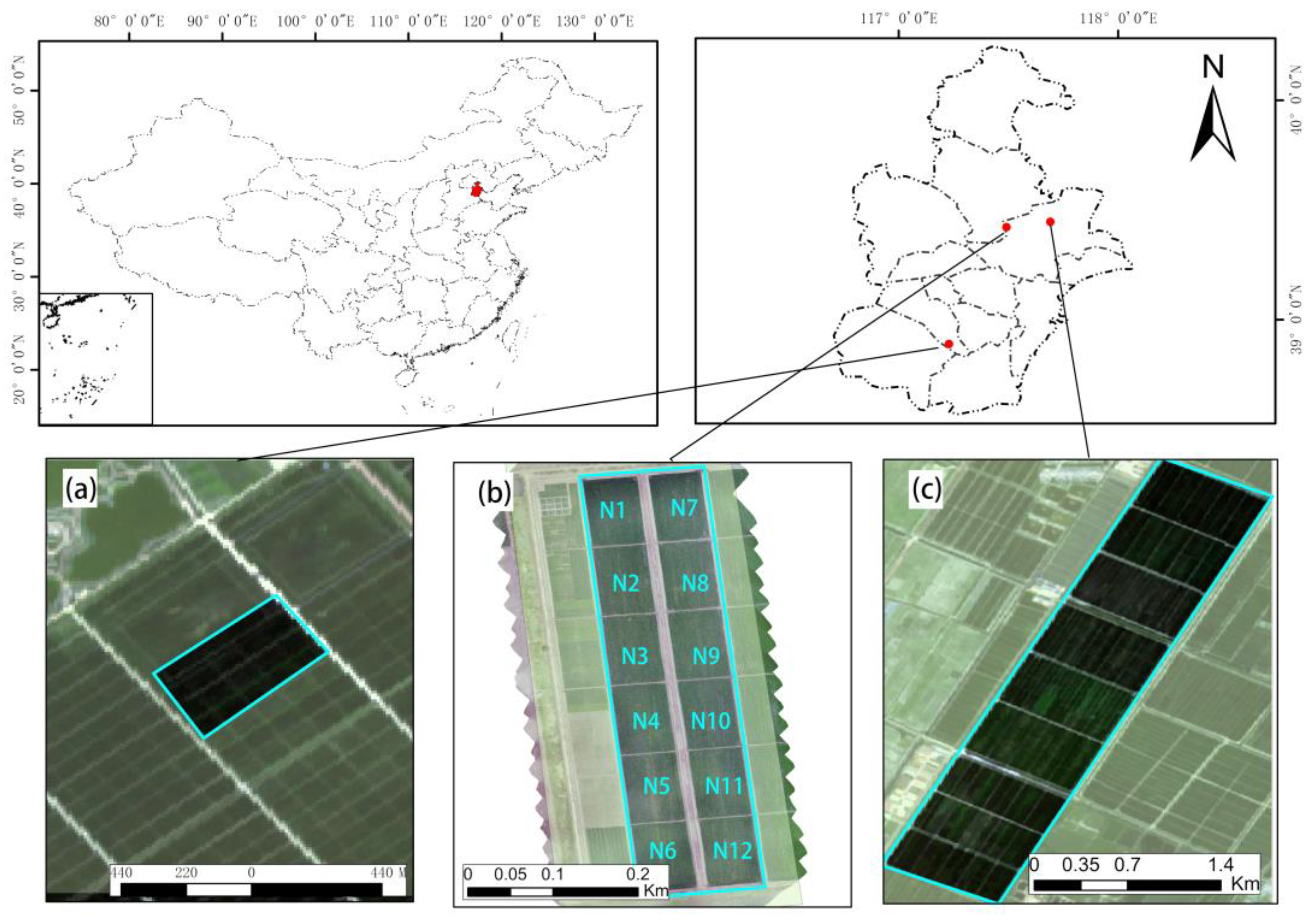 Agronomy 12 01804 g001 550