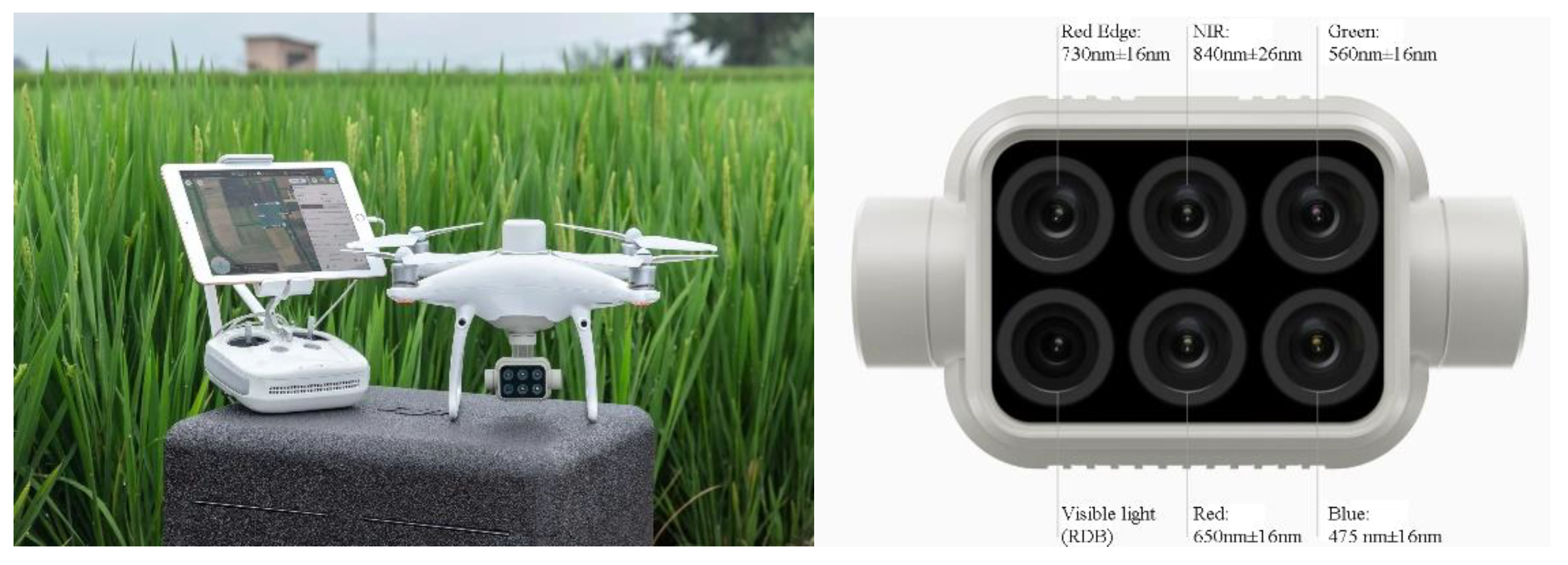 Agronomy 12 01804 g002 550