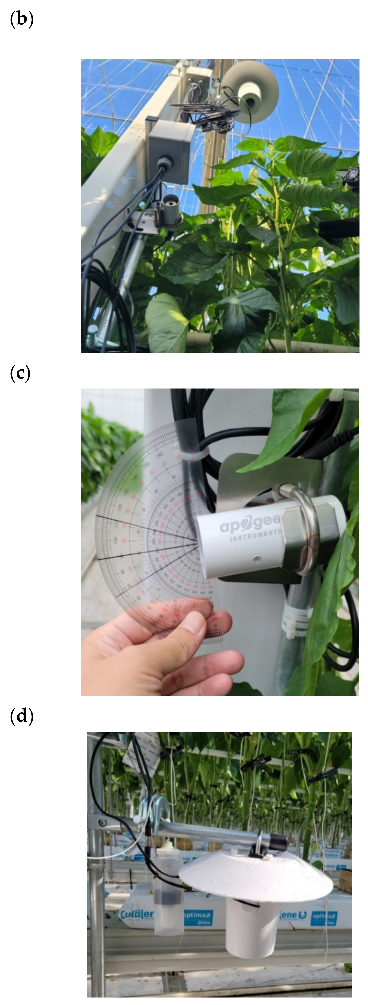 Agronomy 12 01807 g008b