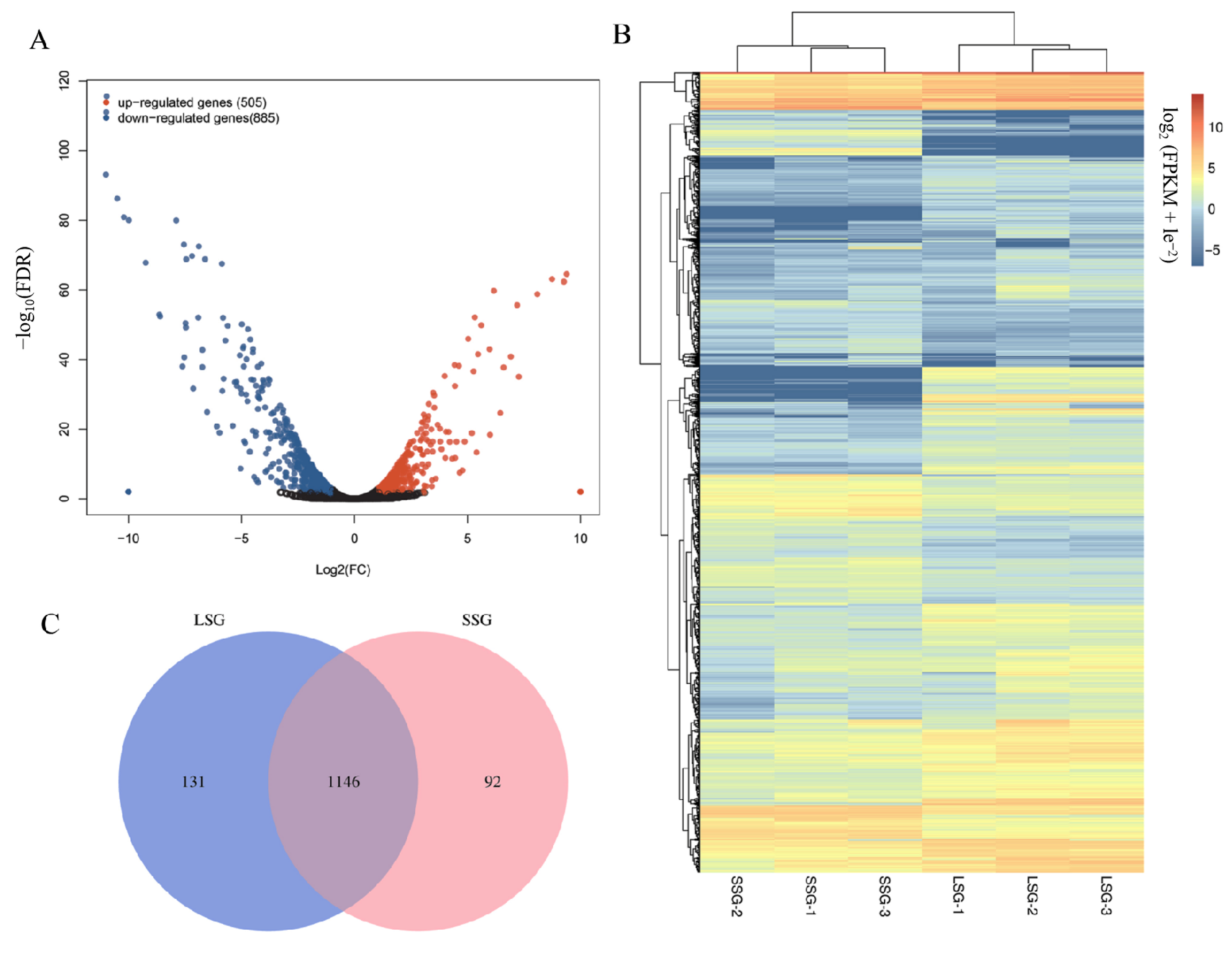 Agronomy 12 01810 g002