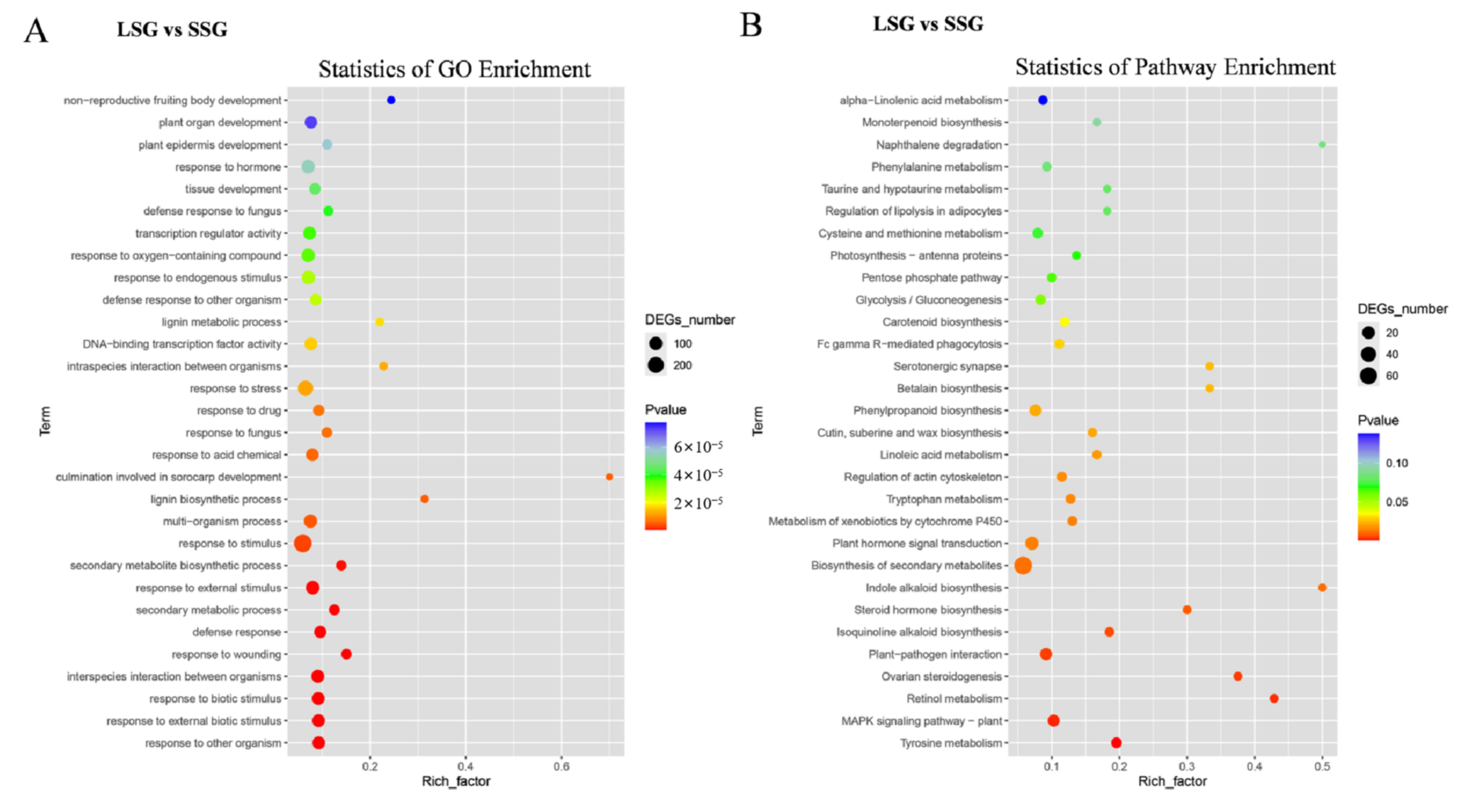 Agronomy 12 01810 g004