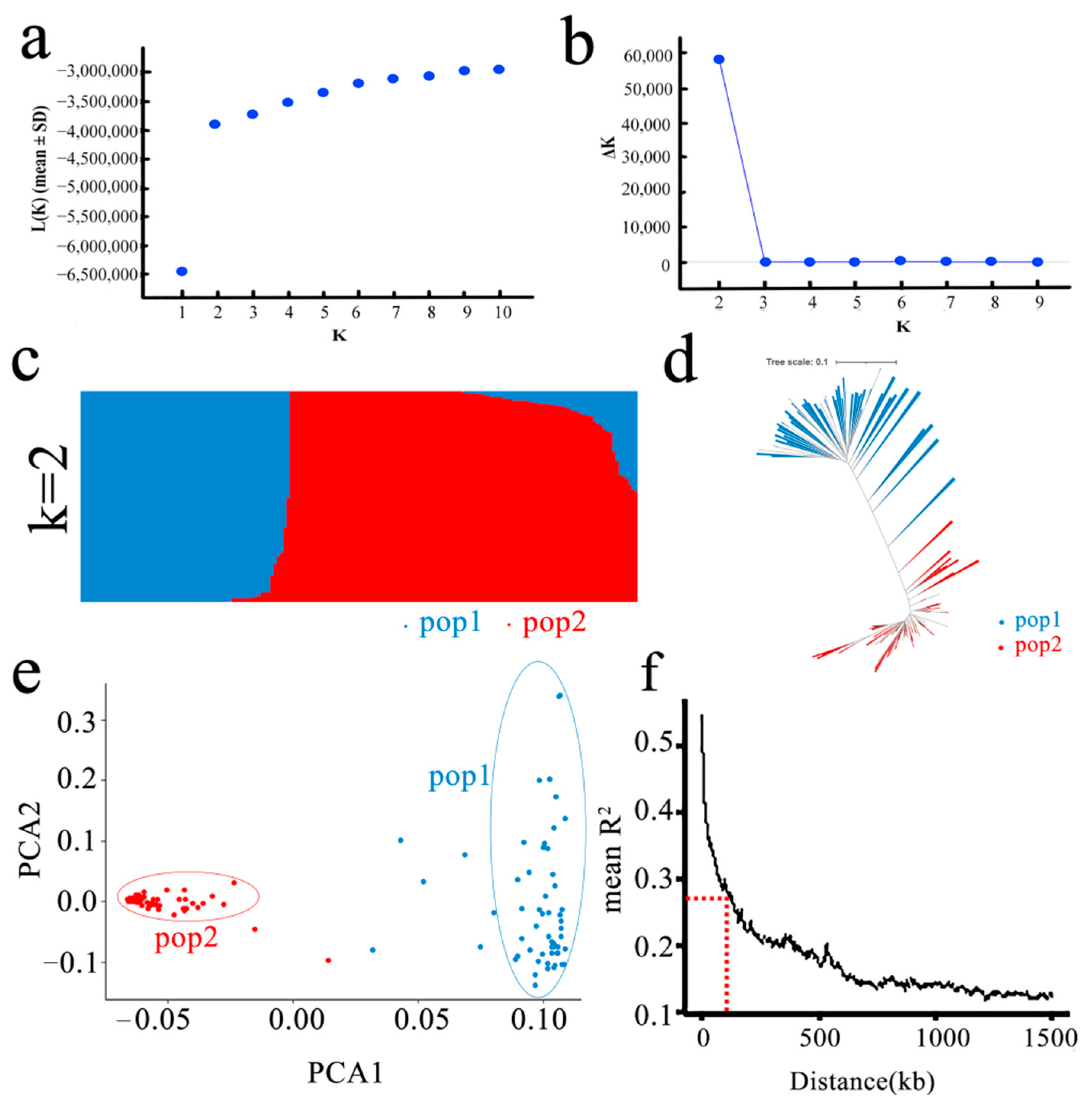 Agronomy 12 01814 g004 550