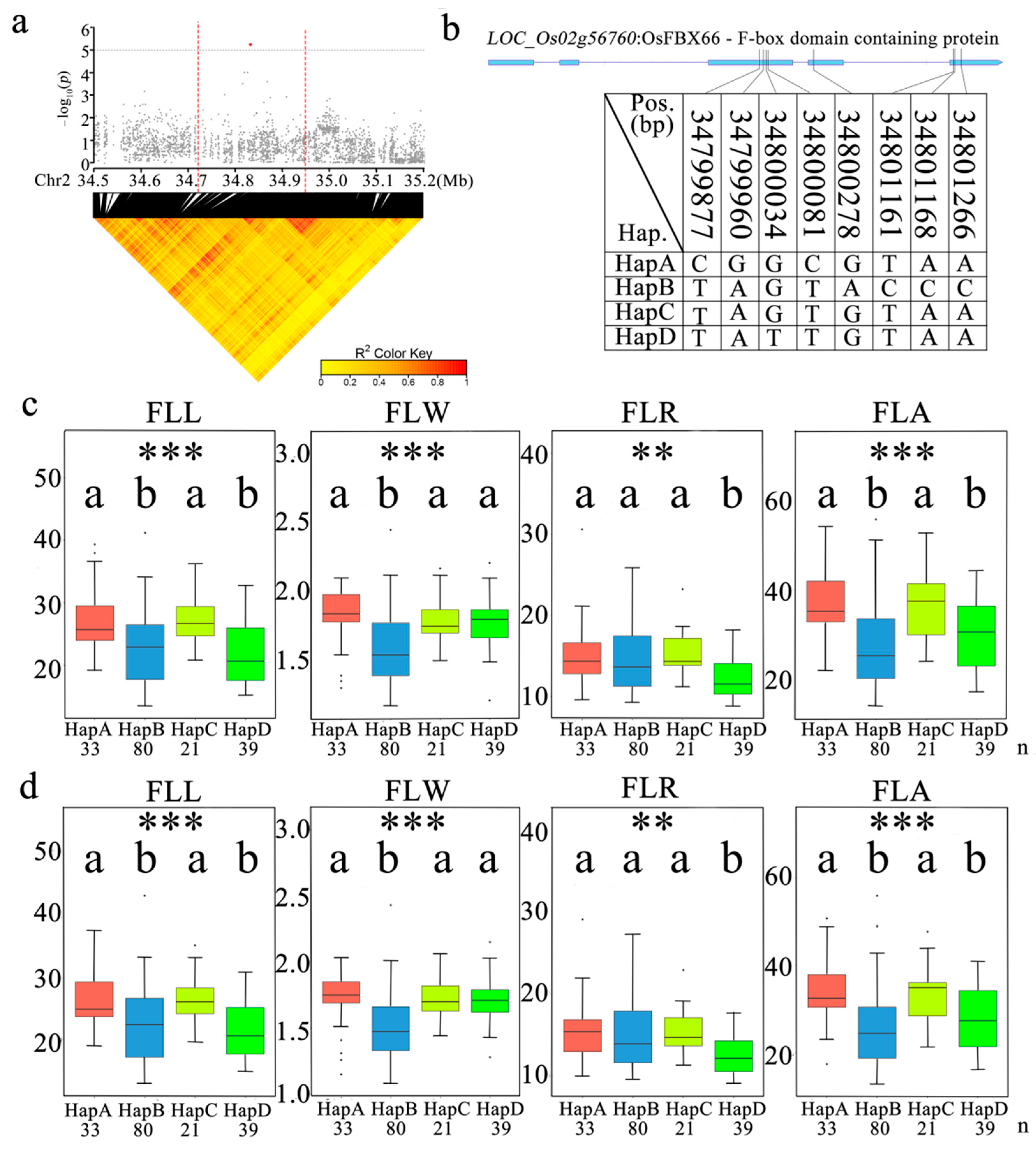Agronomy 12 01814 g006 550