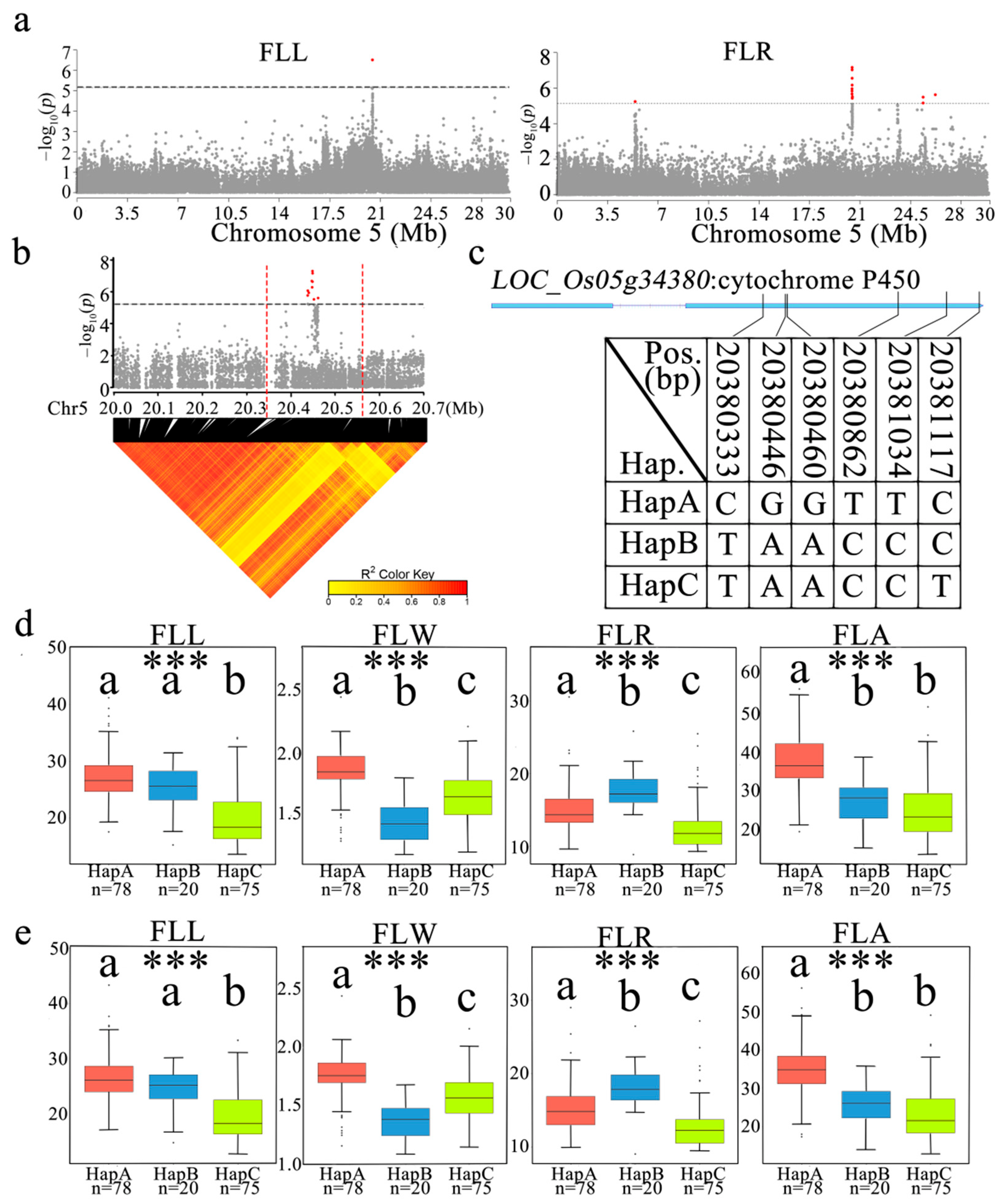 Agronomy 12 01814 g007 550
