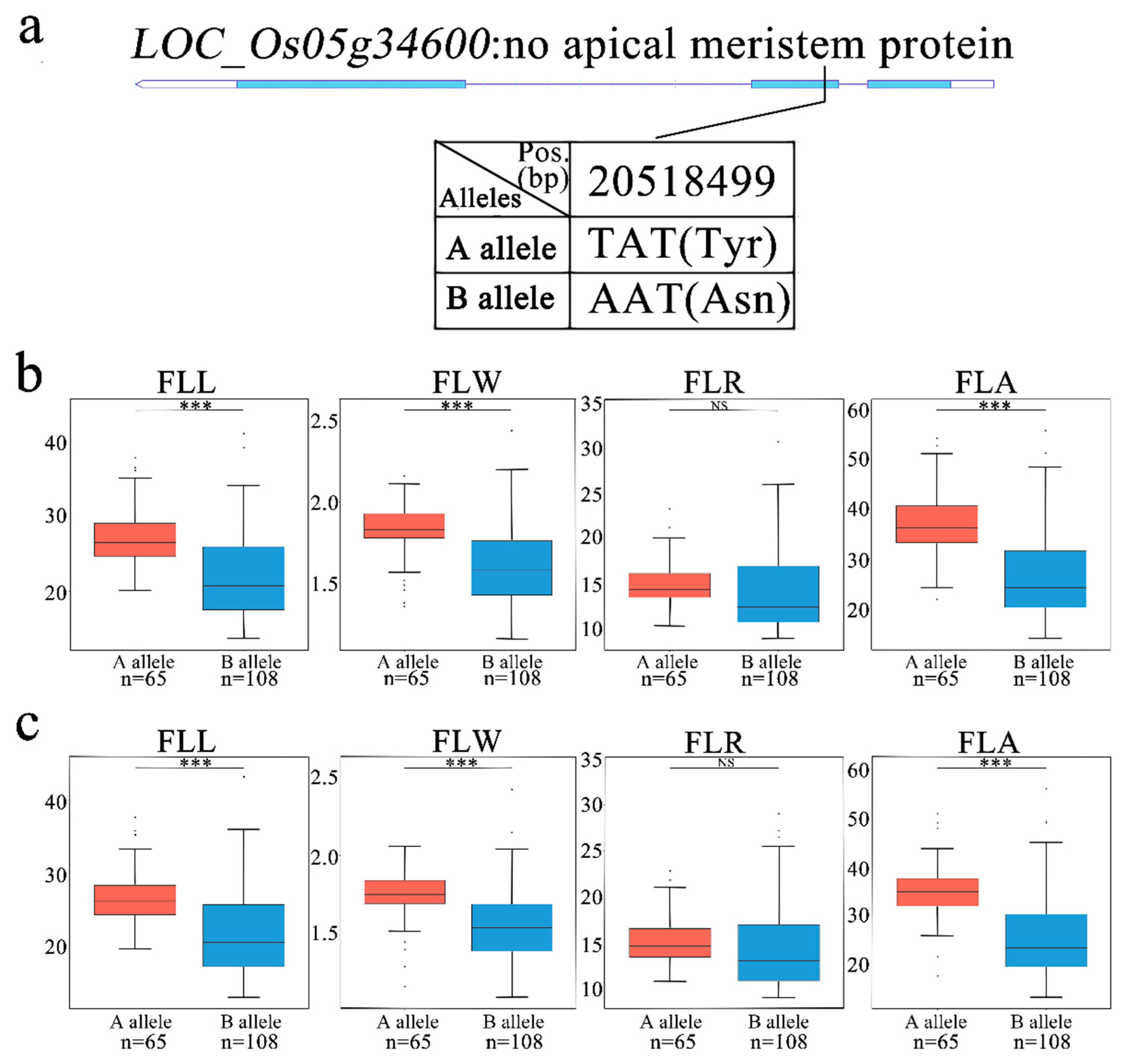 Agronomy 12 01814 g008 550