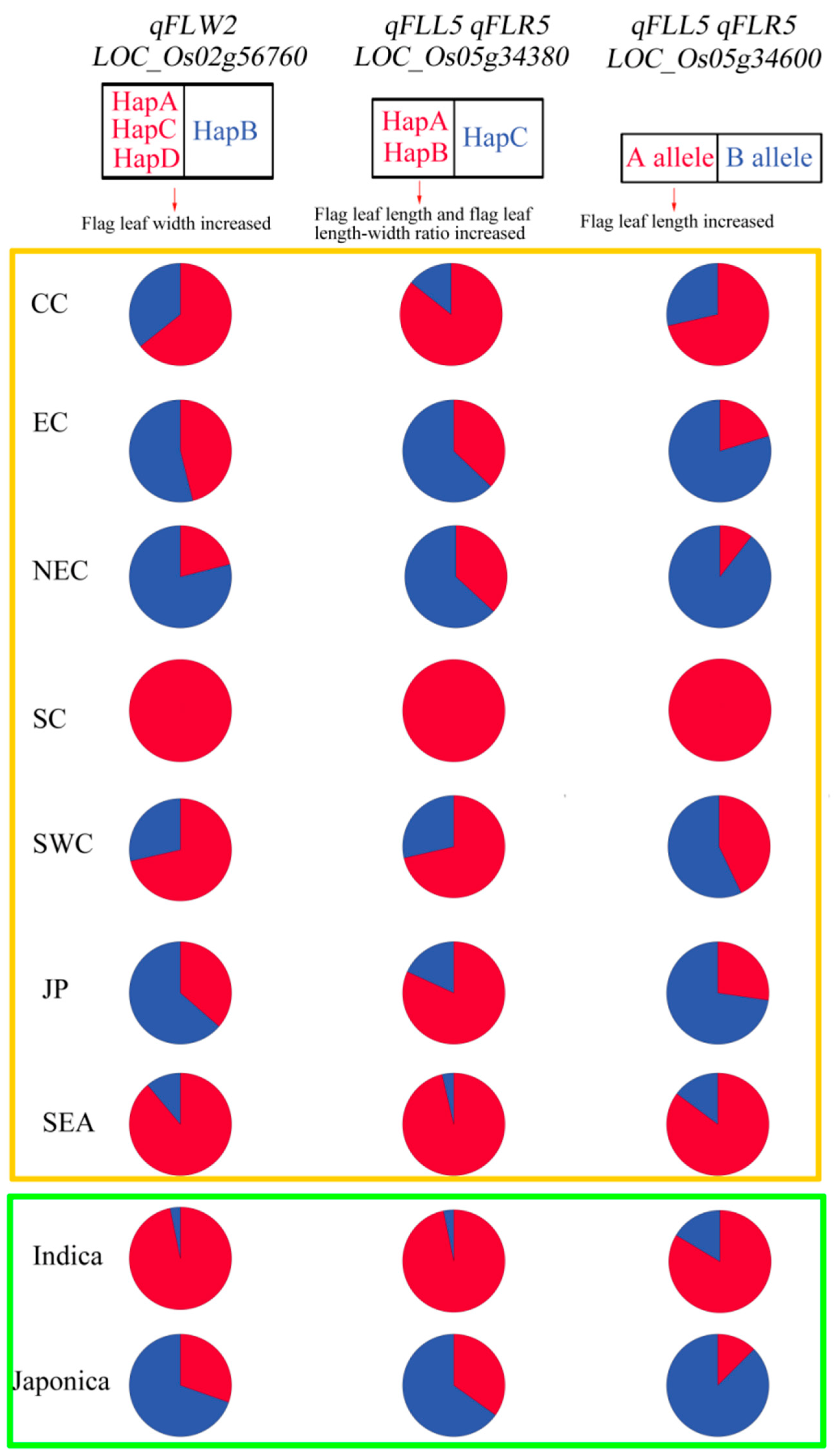Agronomy 12 01814 g009 550