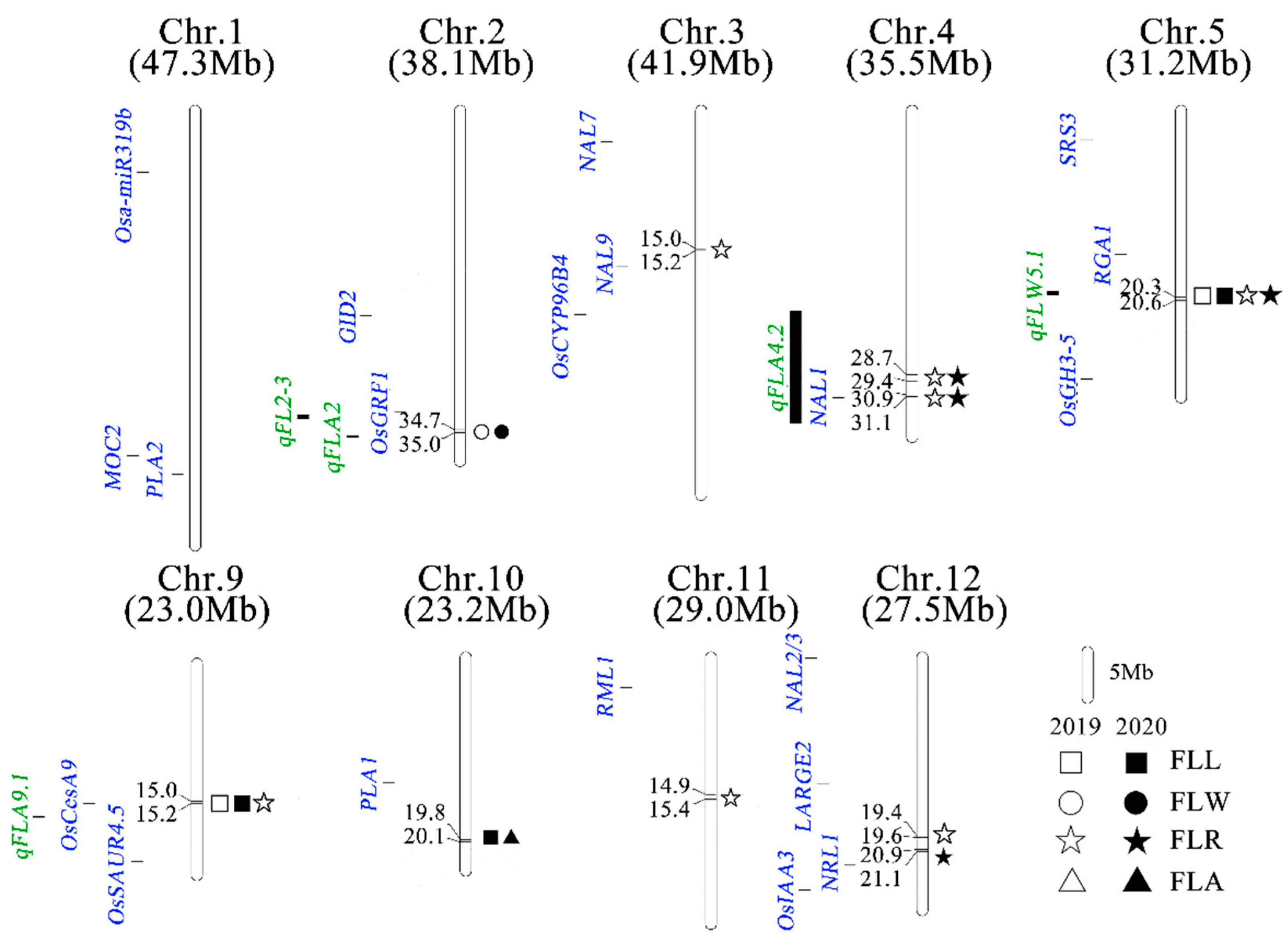 Agronomy 12 01814 g010 550