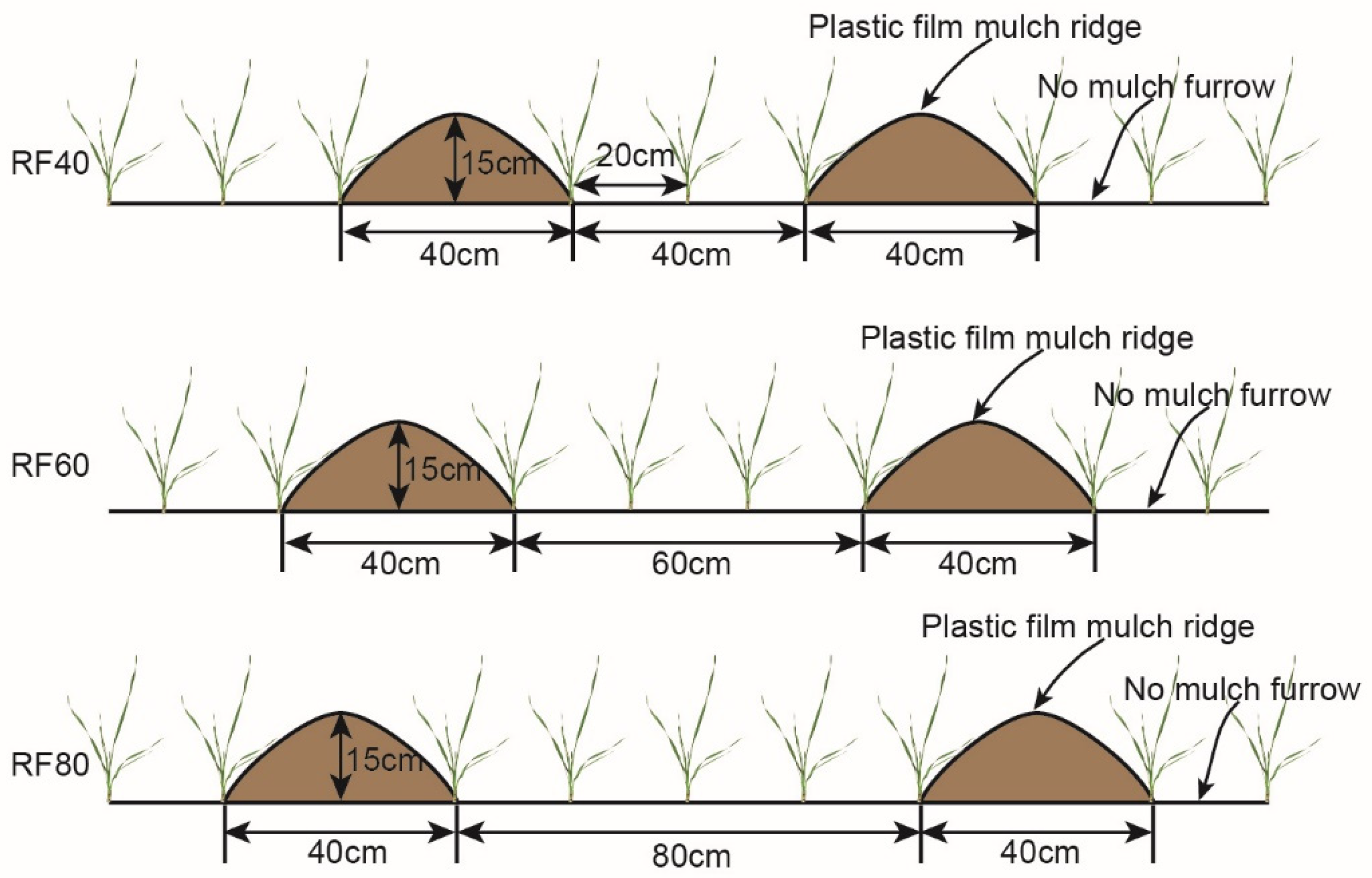 Agronomy 12 01815 g002 Agronomy 12 01815 g002