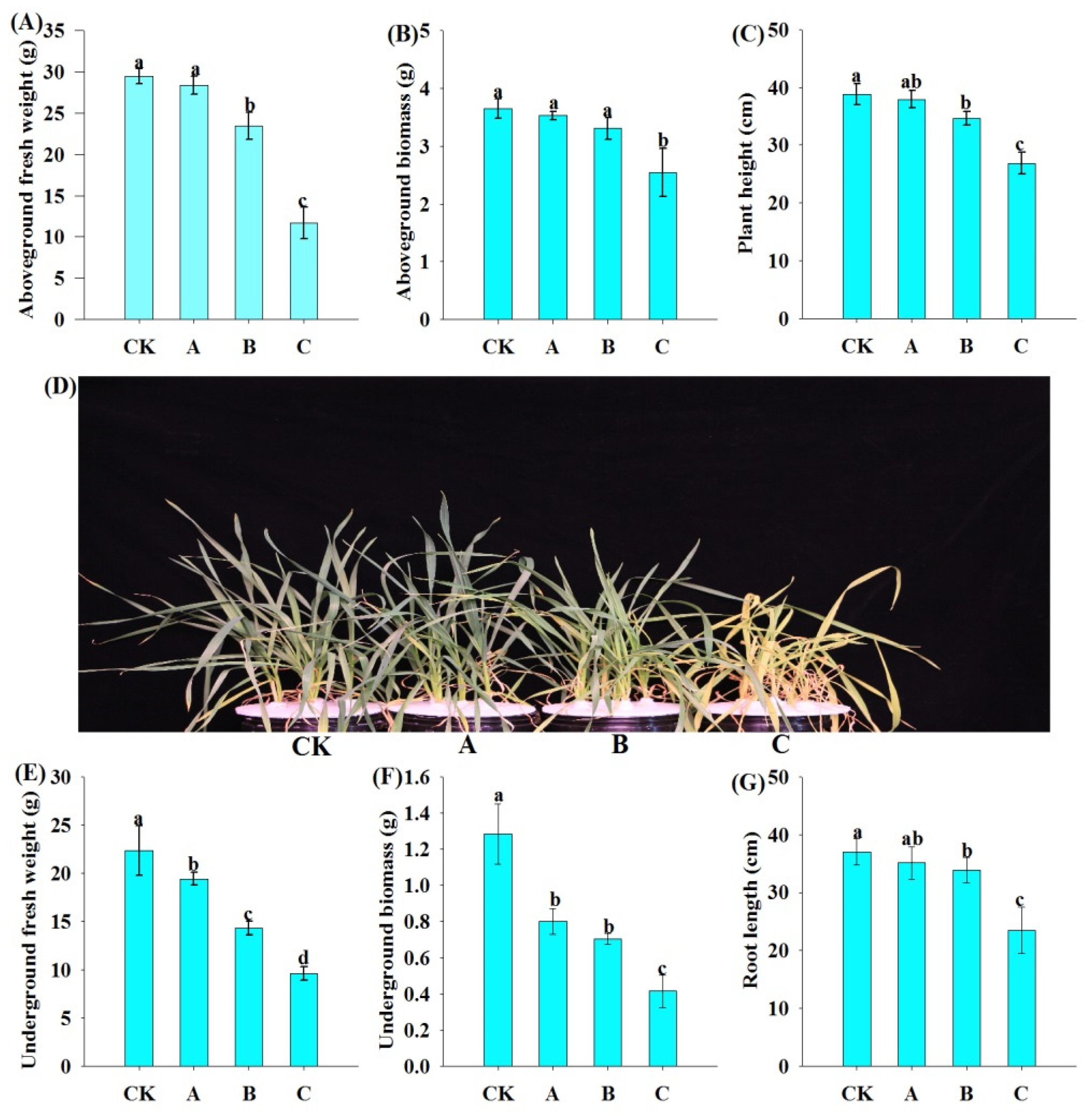 Agronomy 12 01820 g001