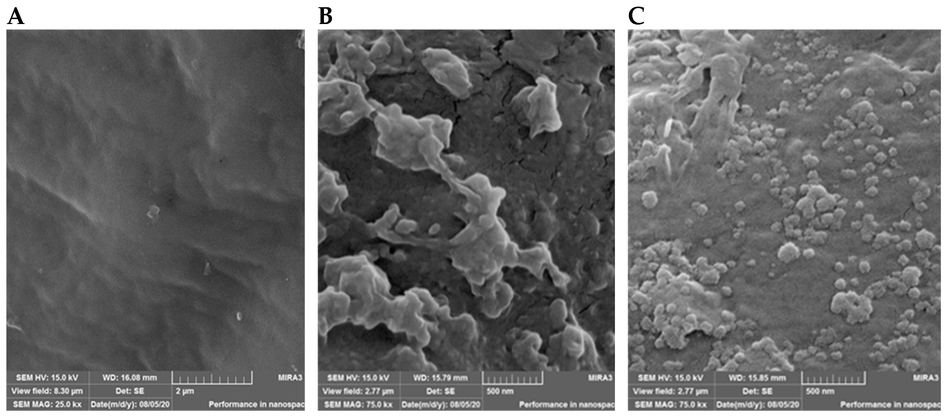Agronomy 12 01827 g003