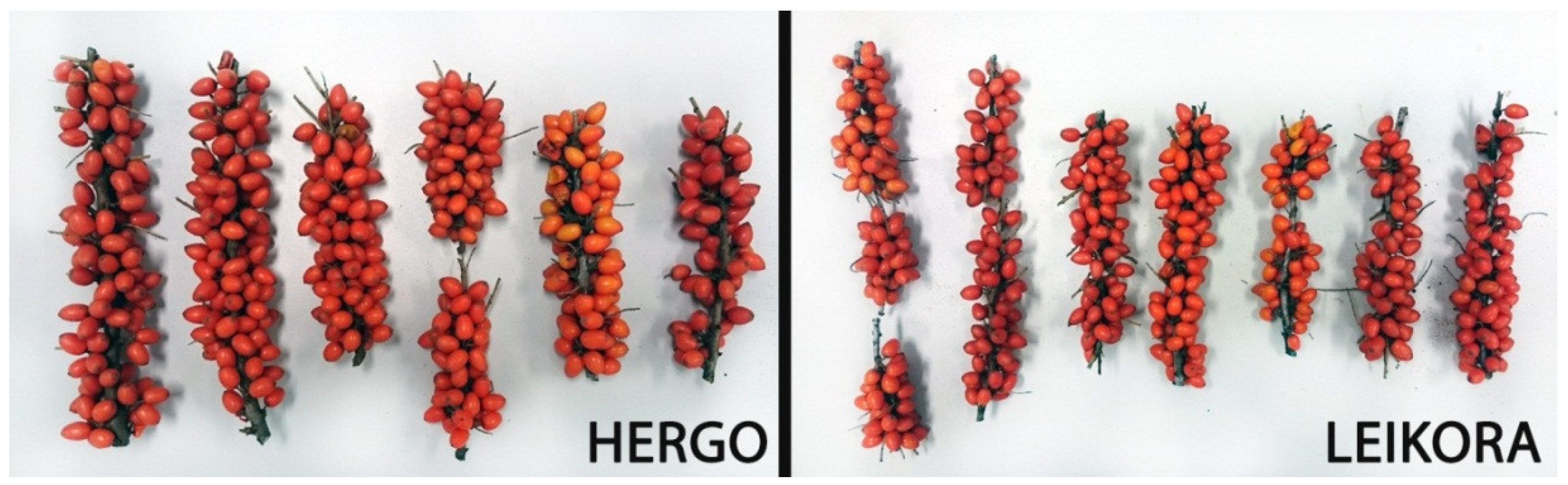 Agronomy 12 01834 g002 Agronomy 12 01834 g002