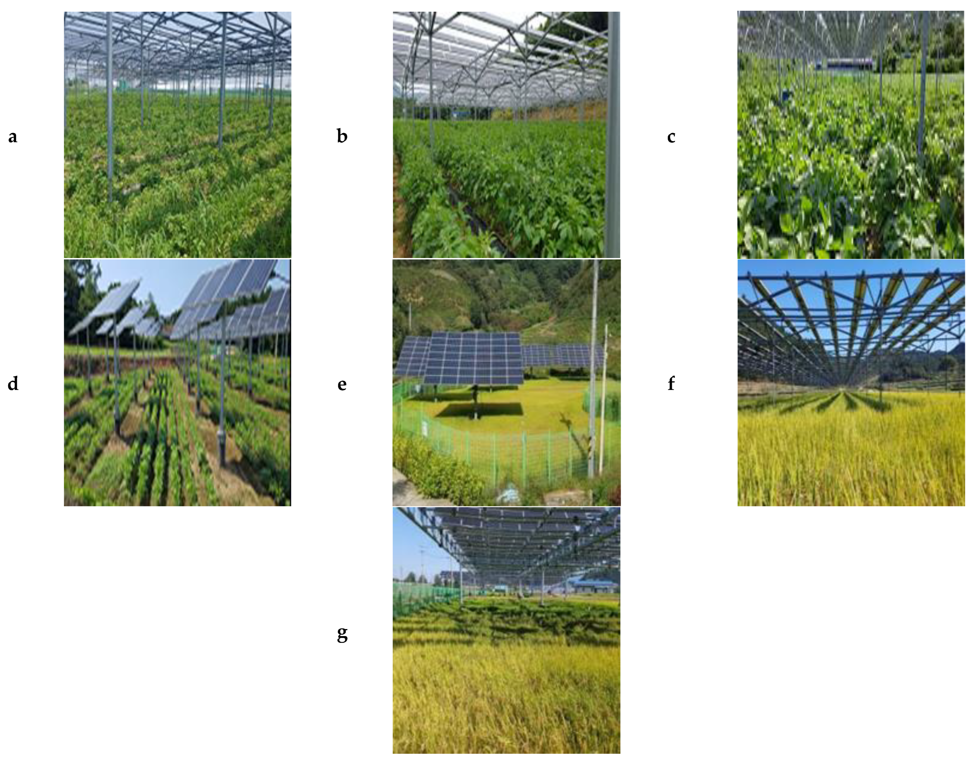 Agronomy 12 01842 g001