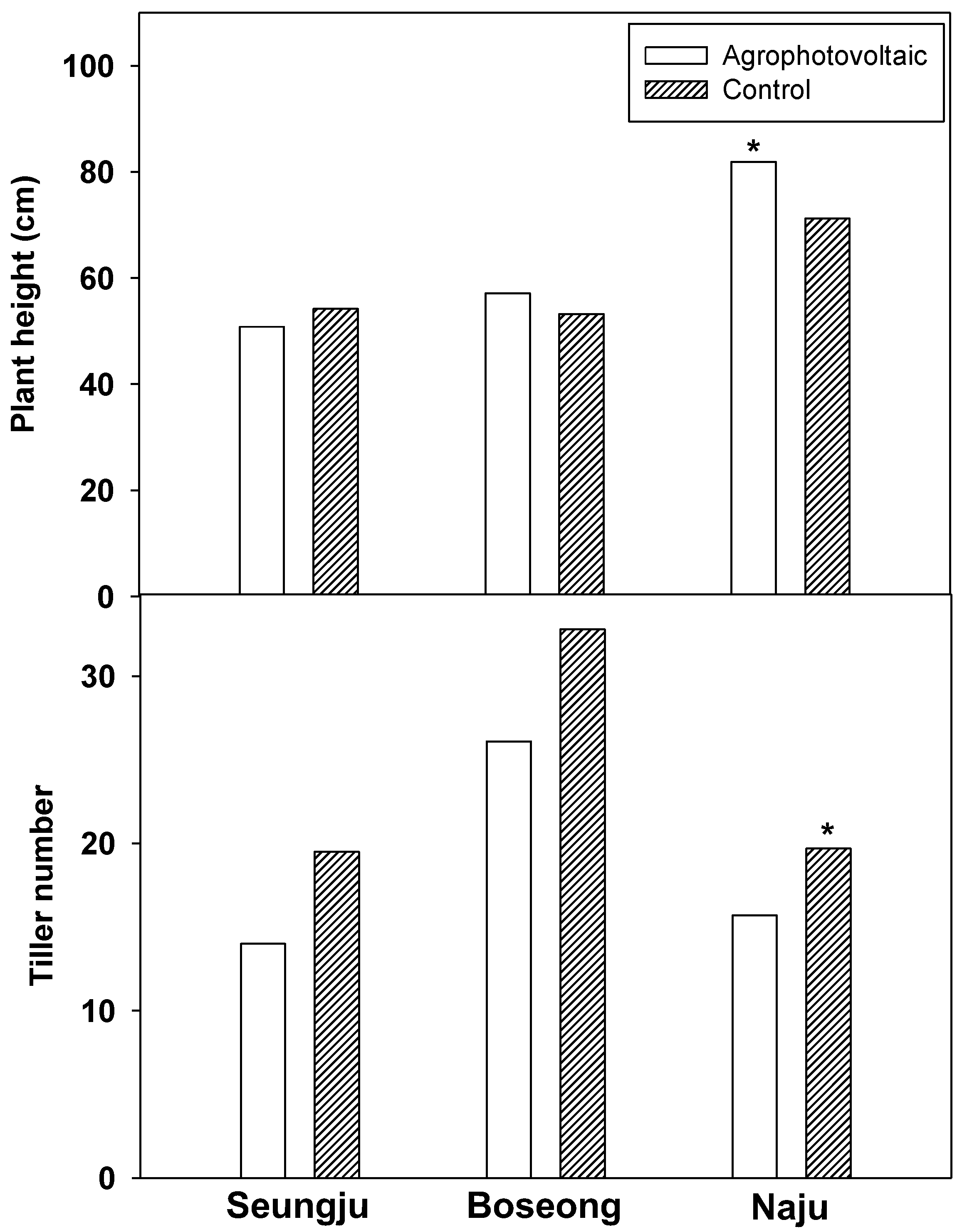 Agronomy 12 01842 g004