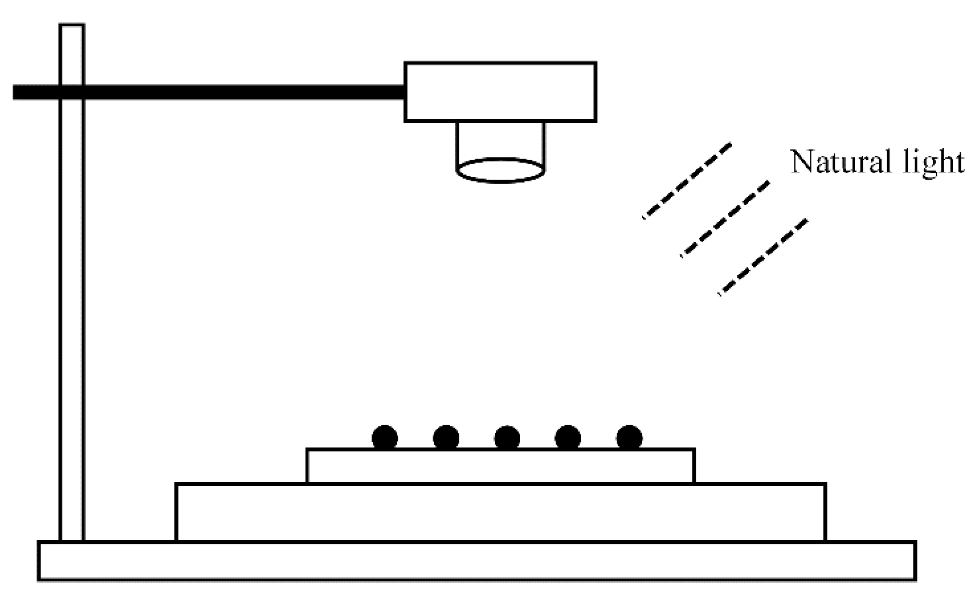 Agronomy 12 01843 g002 Agronomy 12 01843 g002
