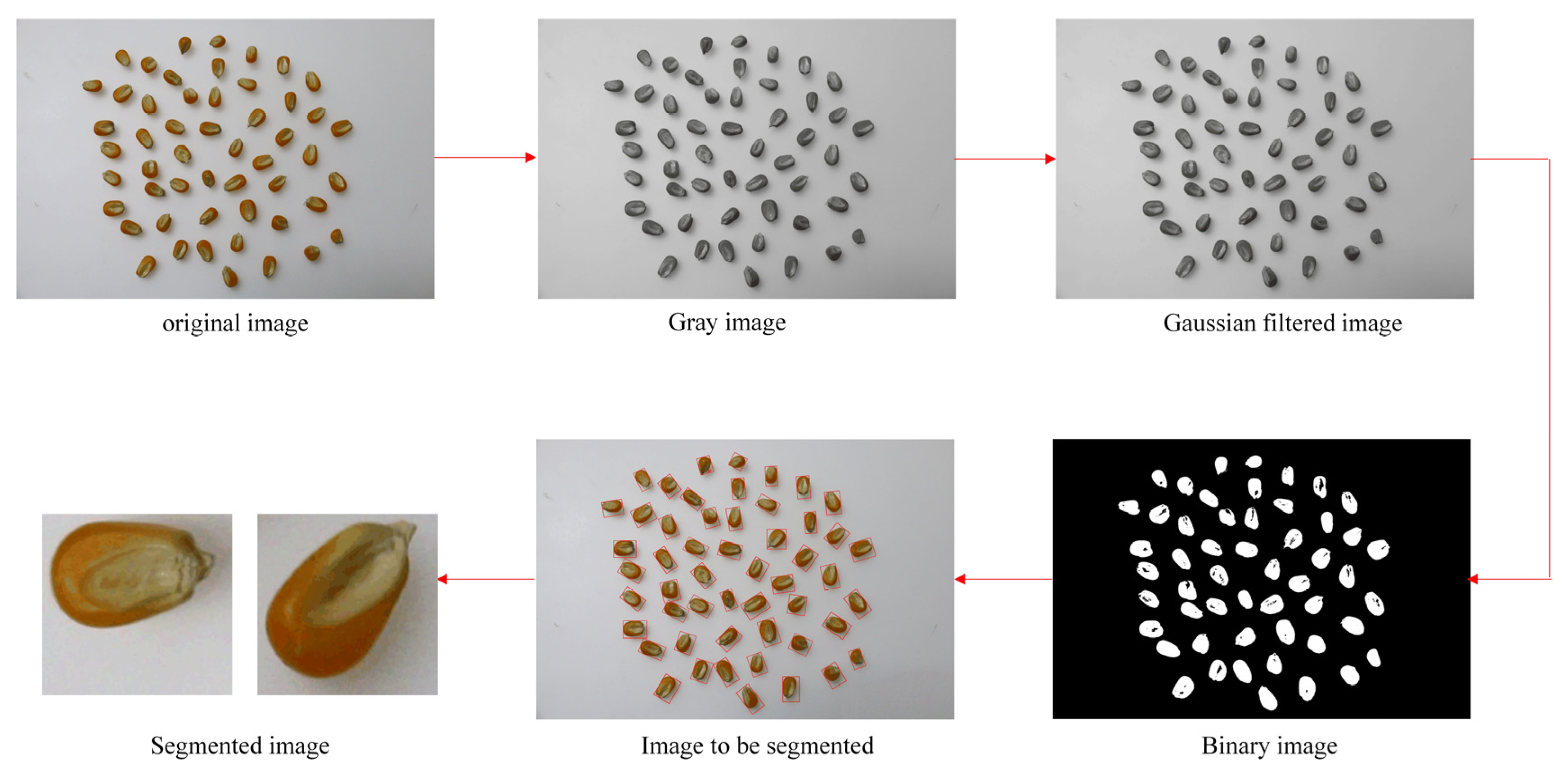 Agronomy 12 01843 g003 Agronomy 12 01843 g003