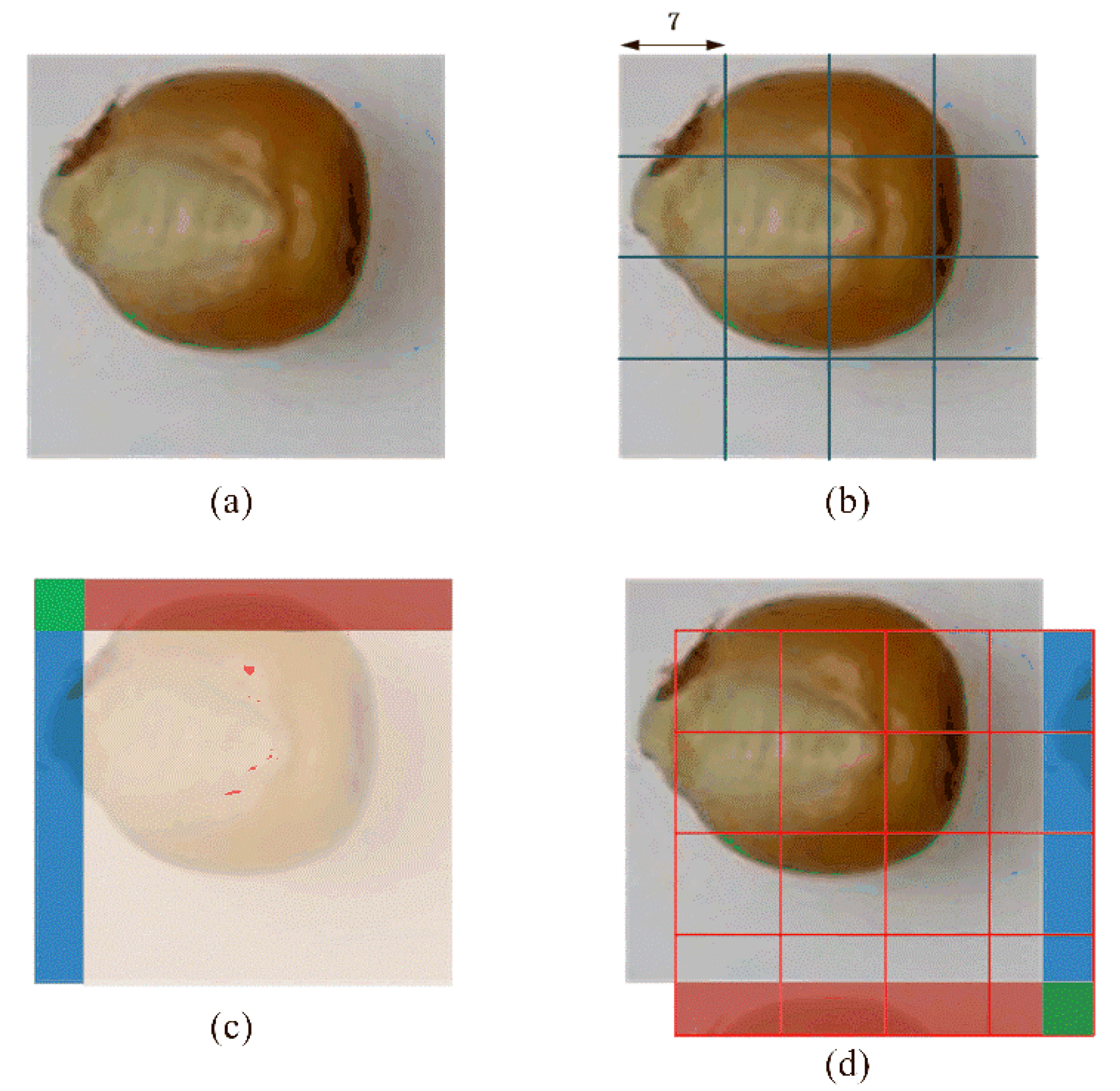 Agronomy 12 01843 g010 Agronomy 12 01843 g010