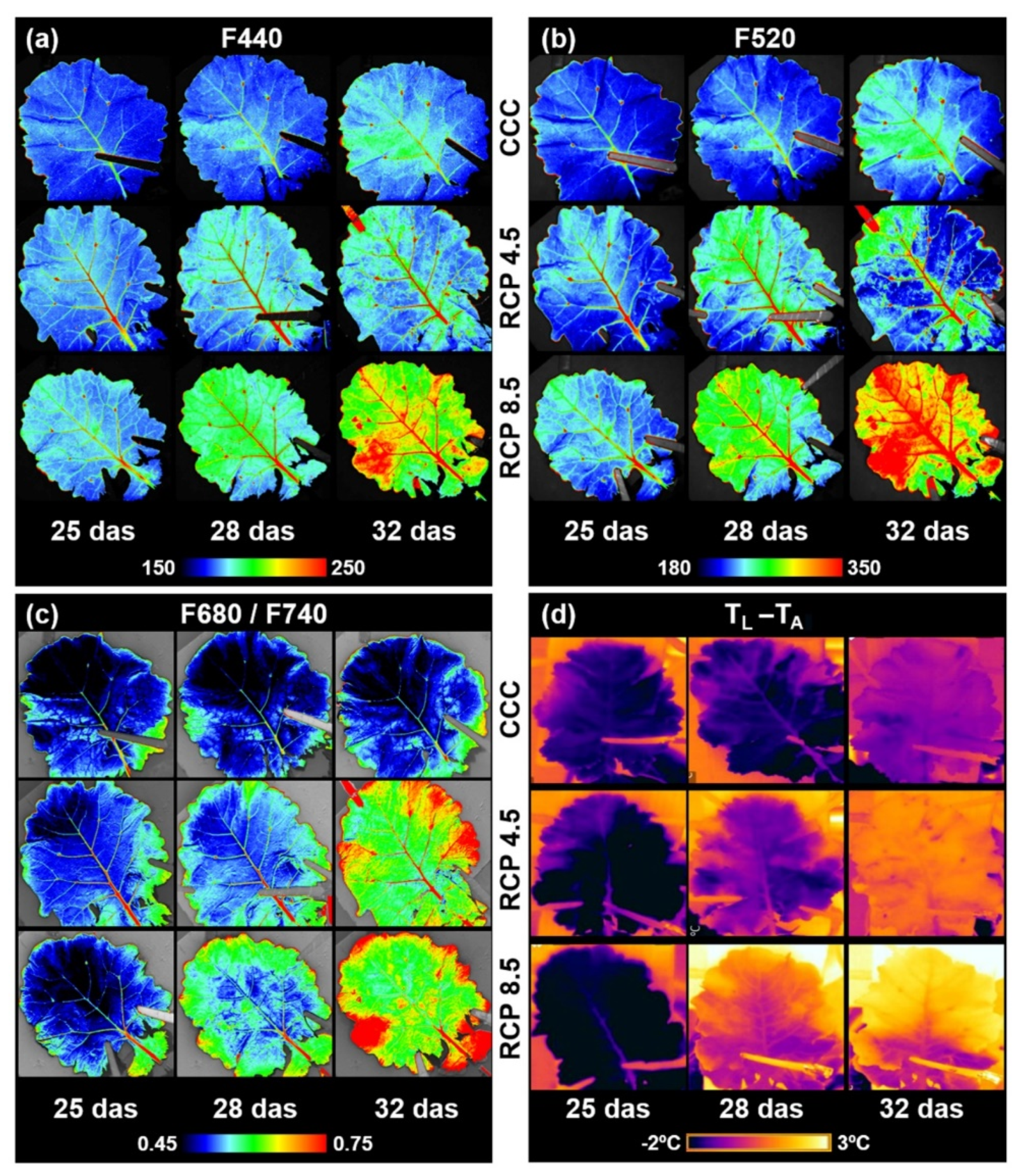 Agronomy 12 01845 g004