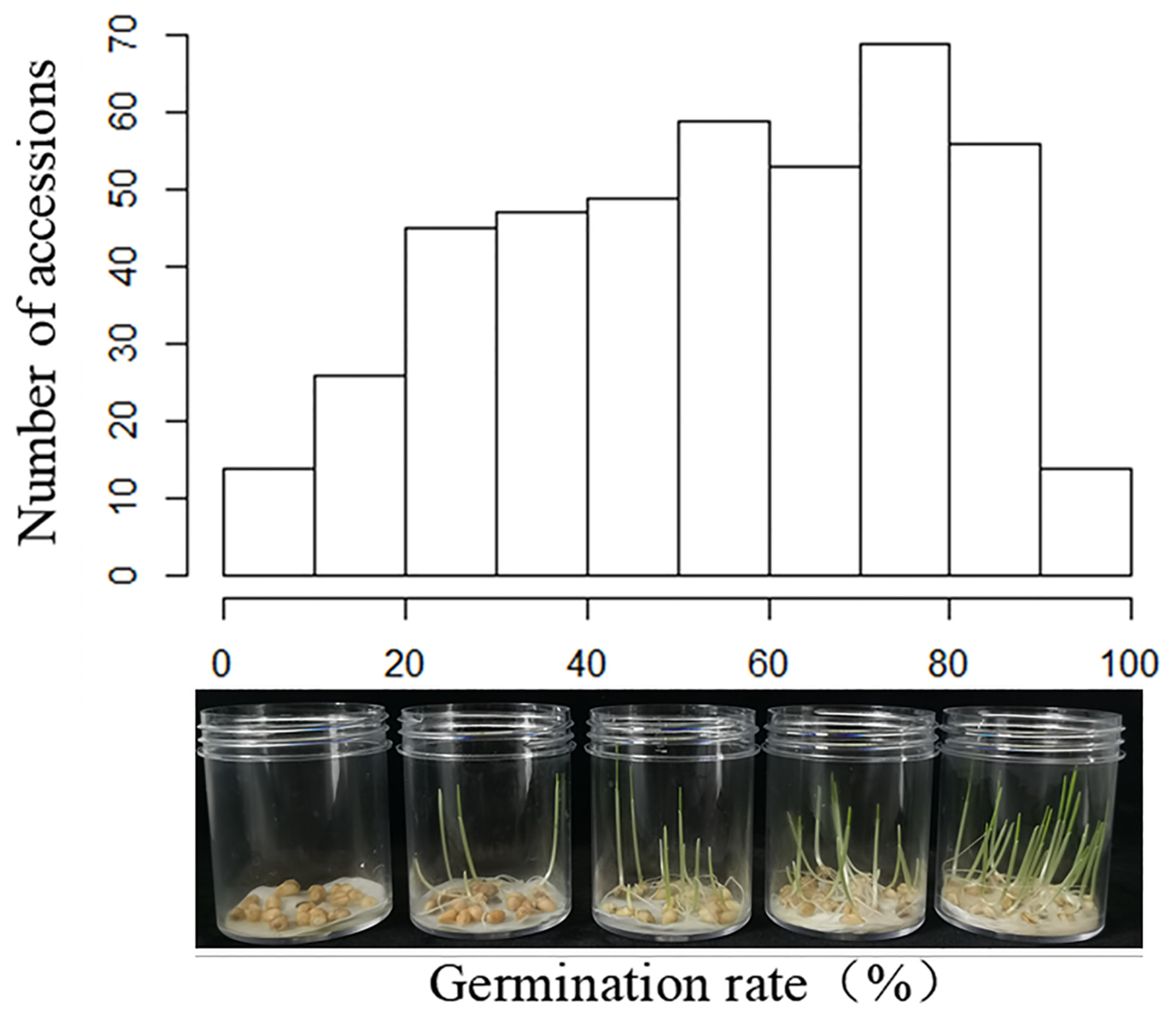 Agronomy 12 01848 g001