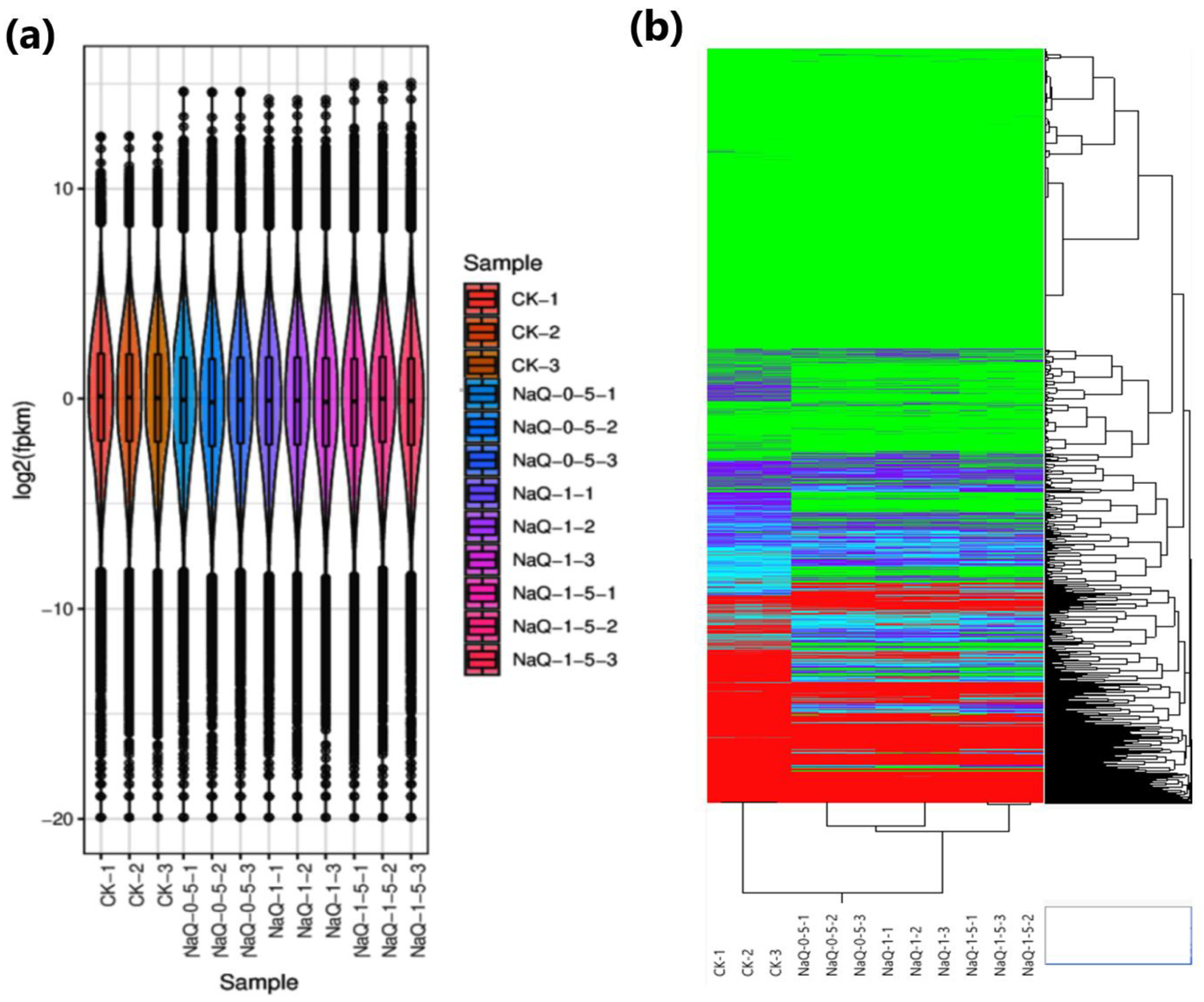 Agronomy 12 01849 g002