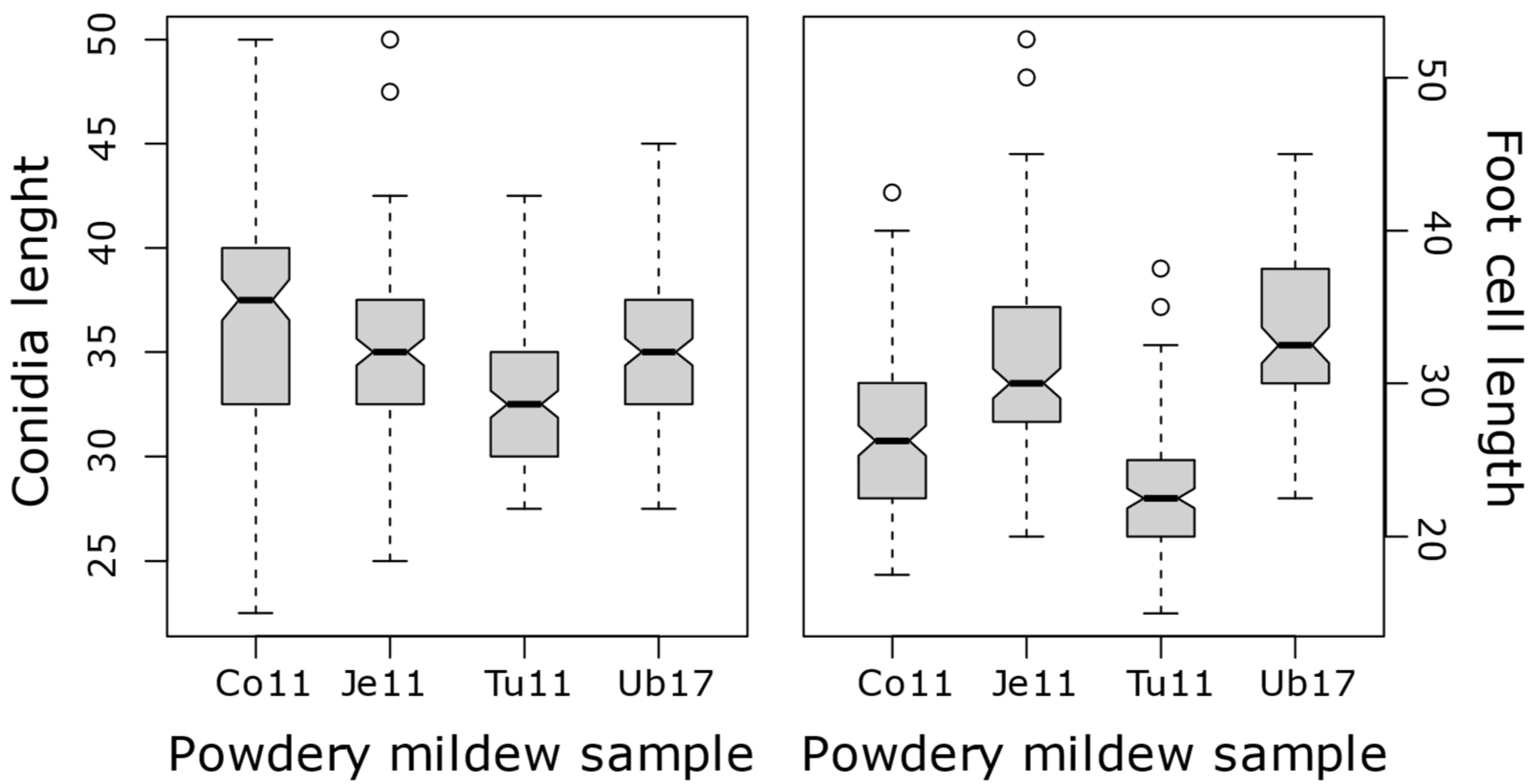 Agronomy 12 01852 g002 Agronomy 12 01852 g002